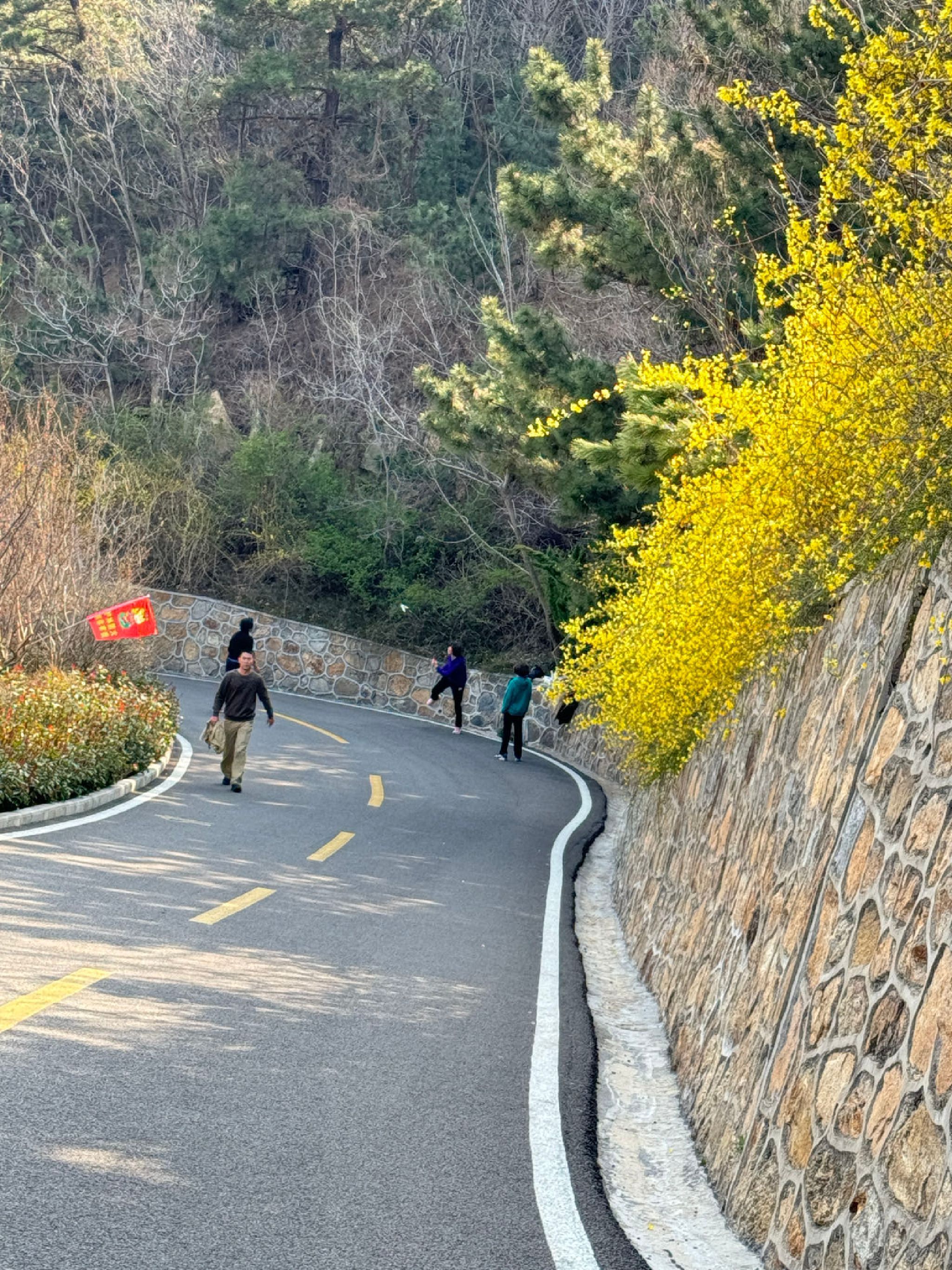 开花石景区旅行图片 1