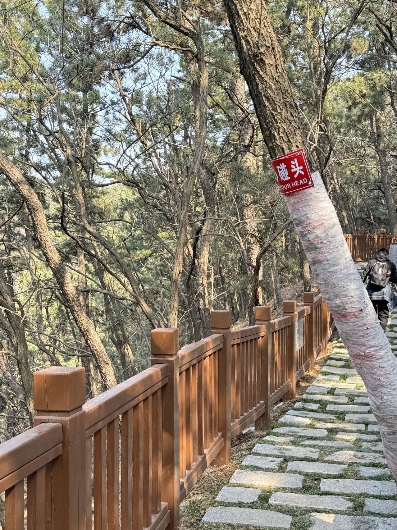 开花石景区旅行图片 3