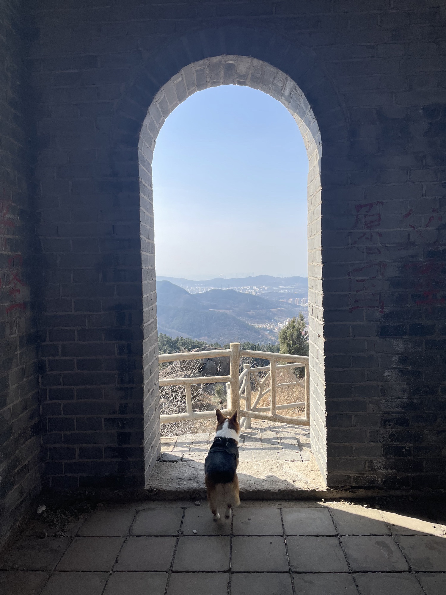 开花石景区旅行图片 1