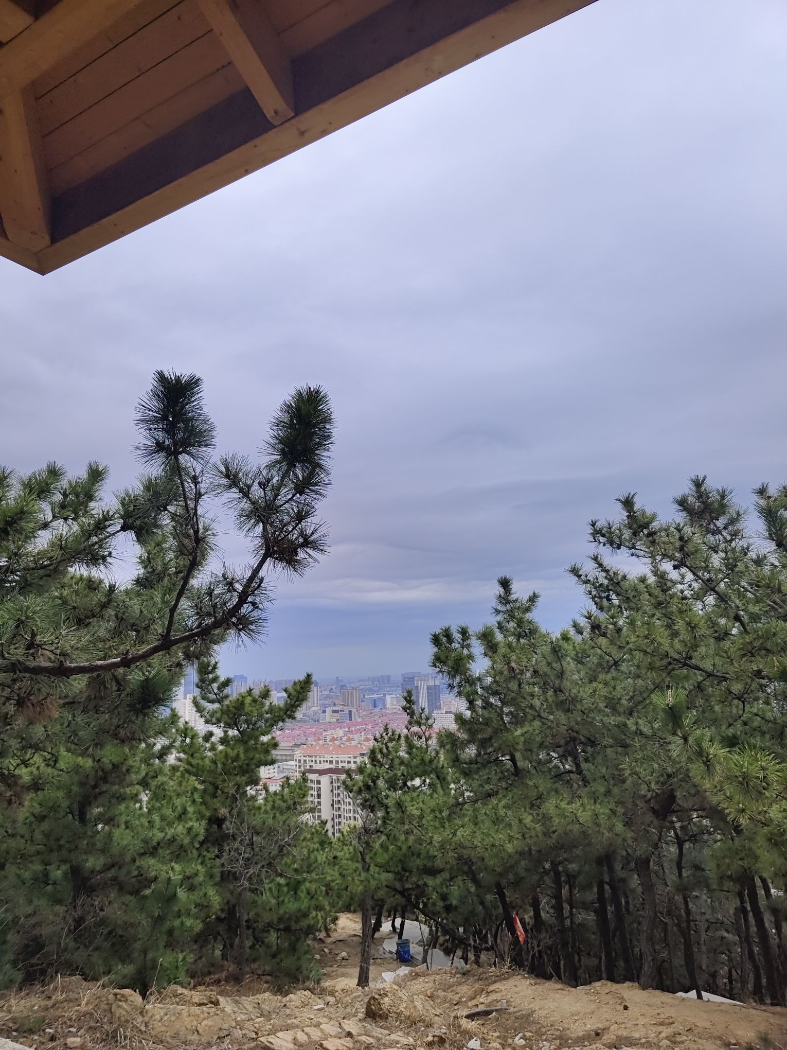 开花石景区旅行图片 1