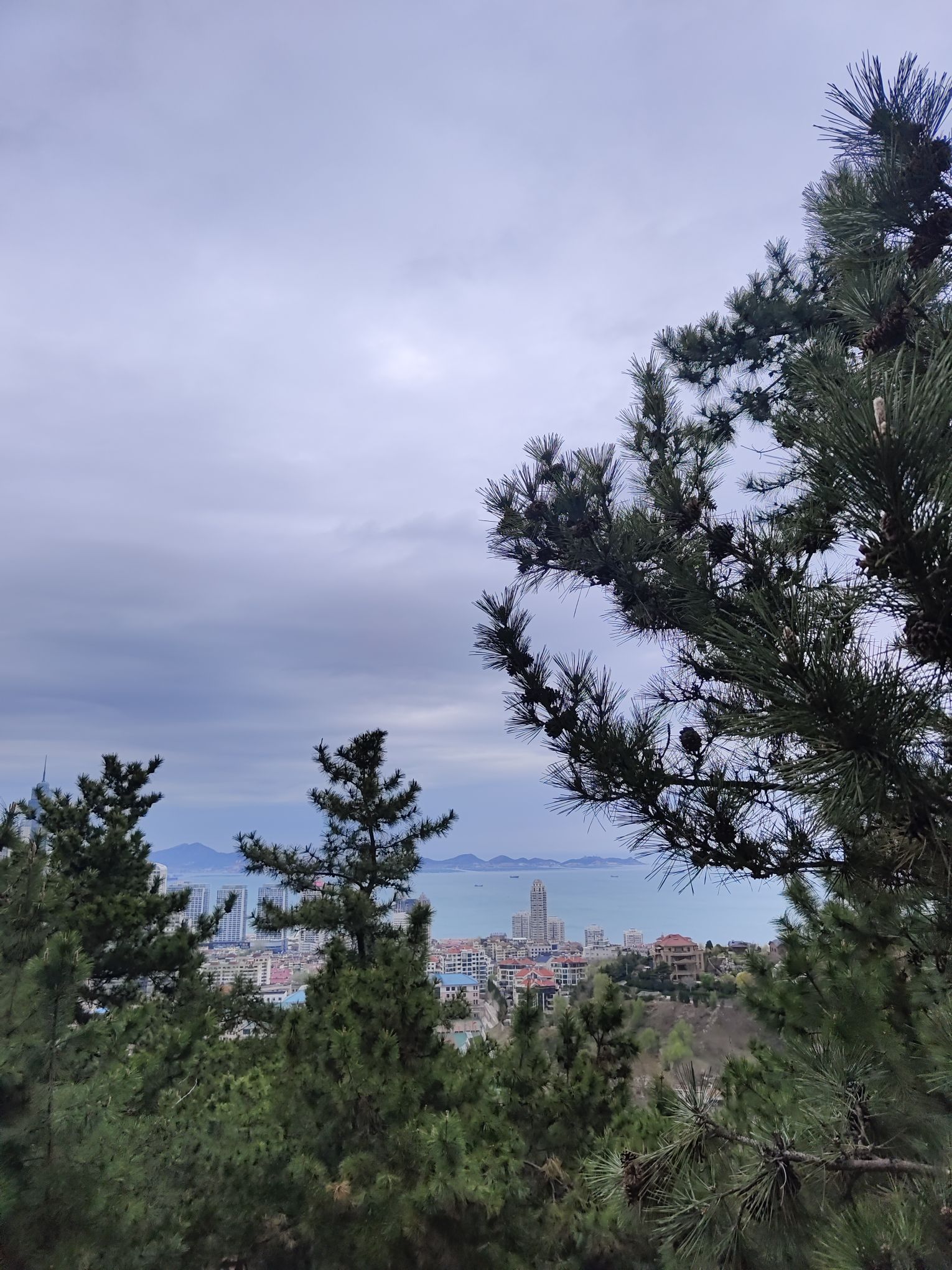 开花石景区旅行图片 2