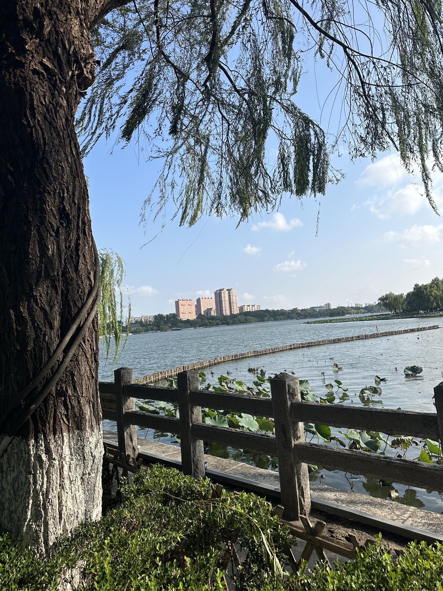 犀丽湾风景区旅行图片 3