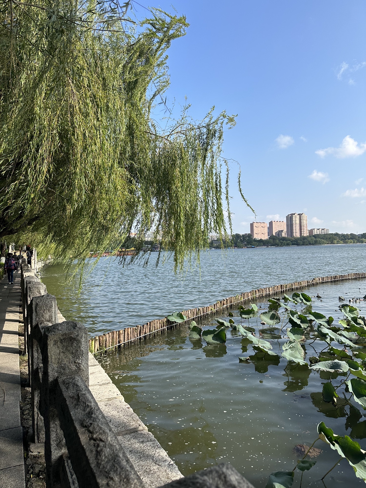 犀丽湾风景区旅行图片 2