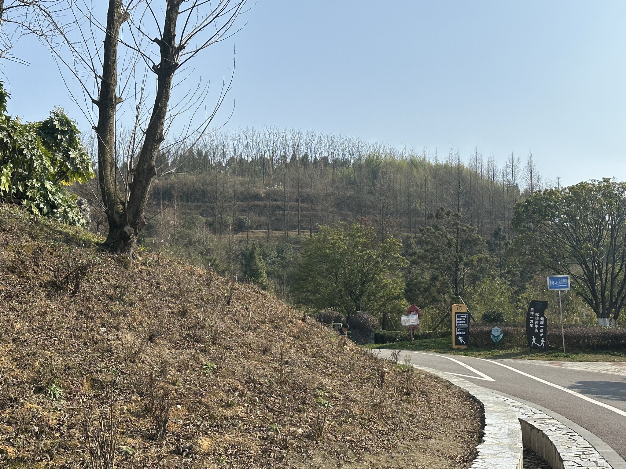 玩易窝遗址公园旅行图片 3