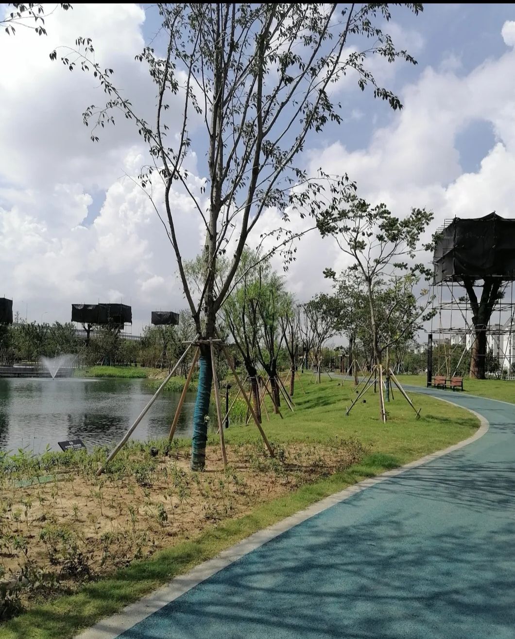 大浜公园旅行图片 2