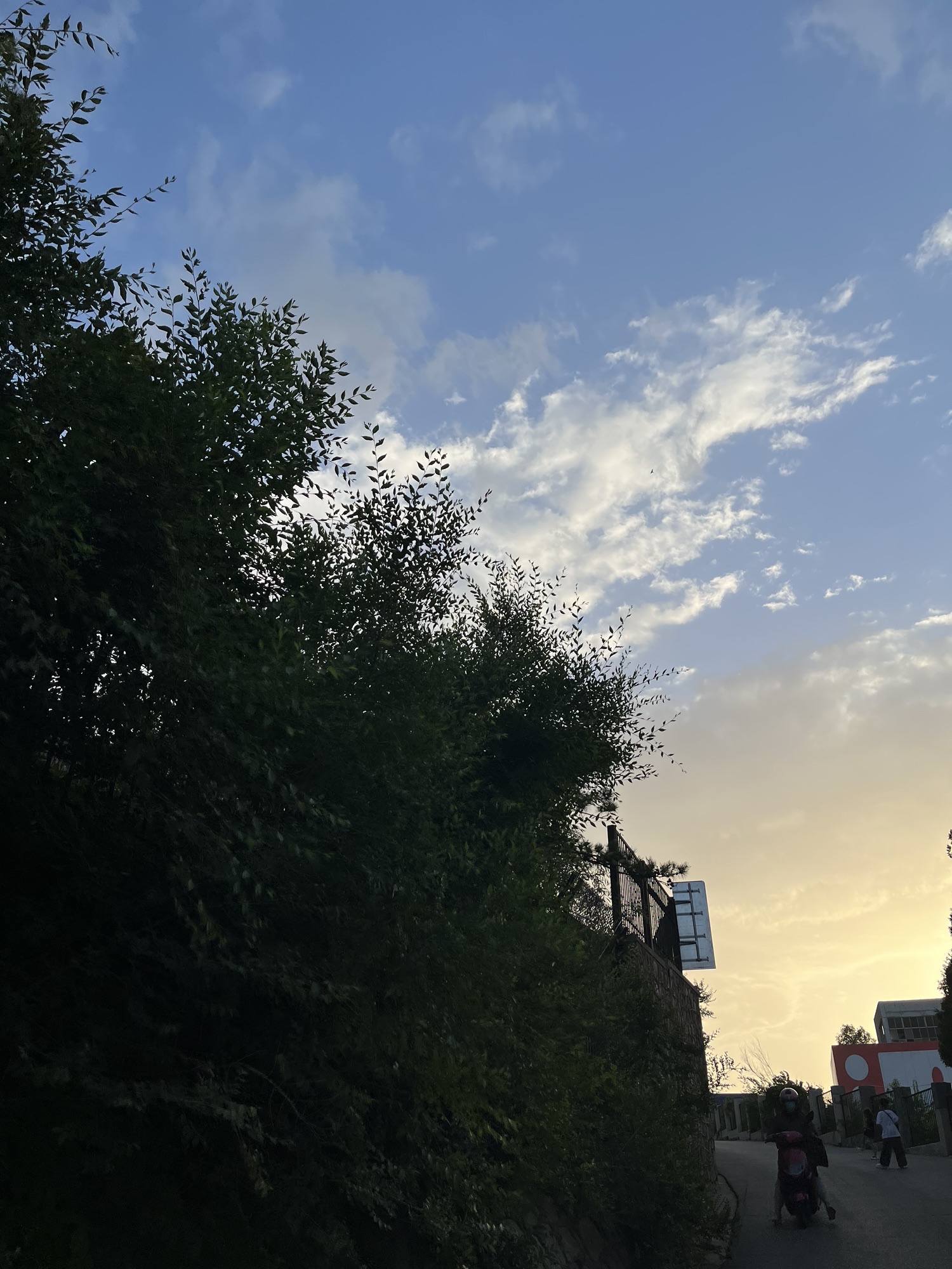 邴家湾海滩旅行图片 2