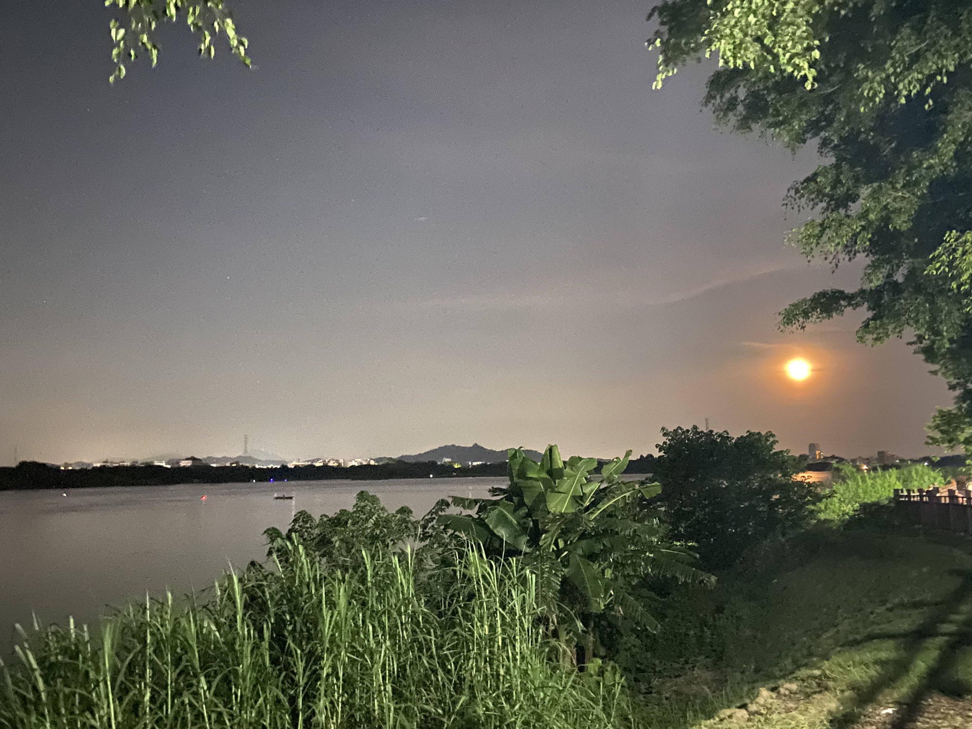 田头何公园旅行图片 2