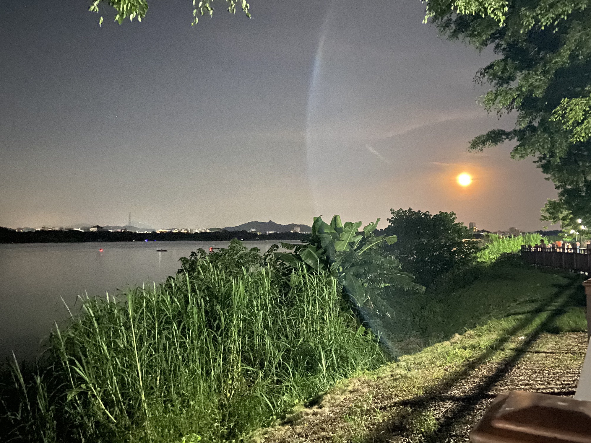 田头何公园旅行图片 1