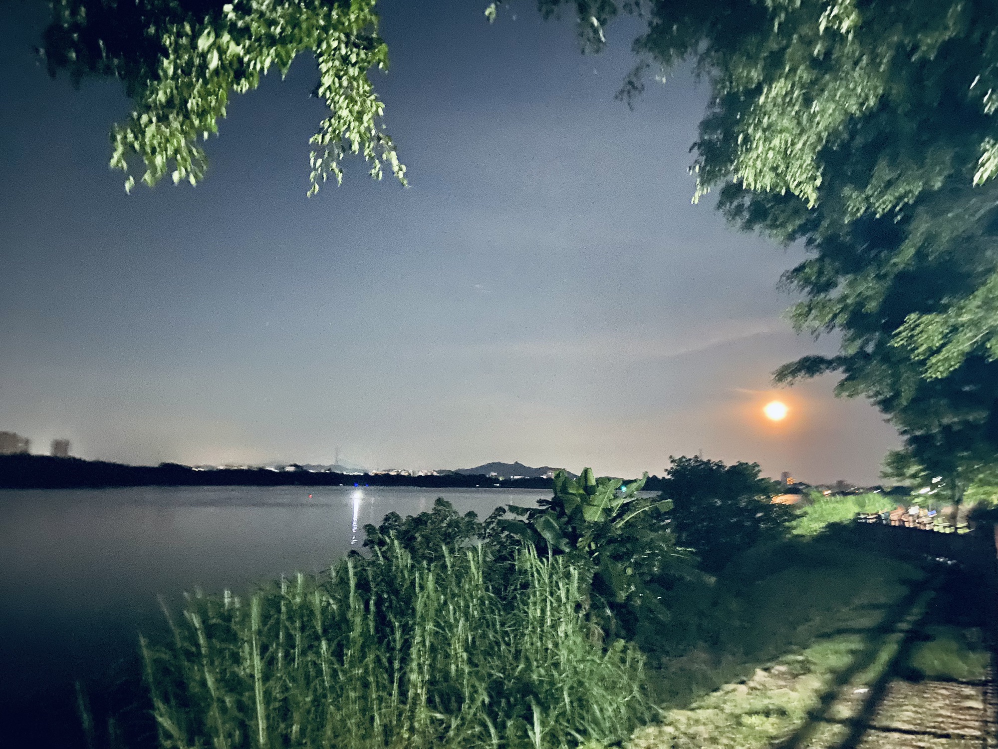 田头何公园旅行图片 3