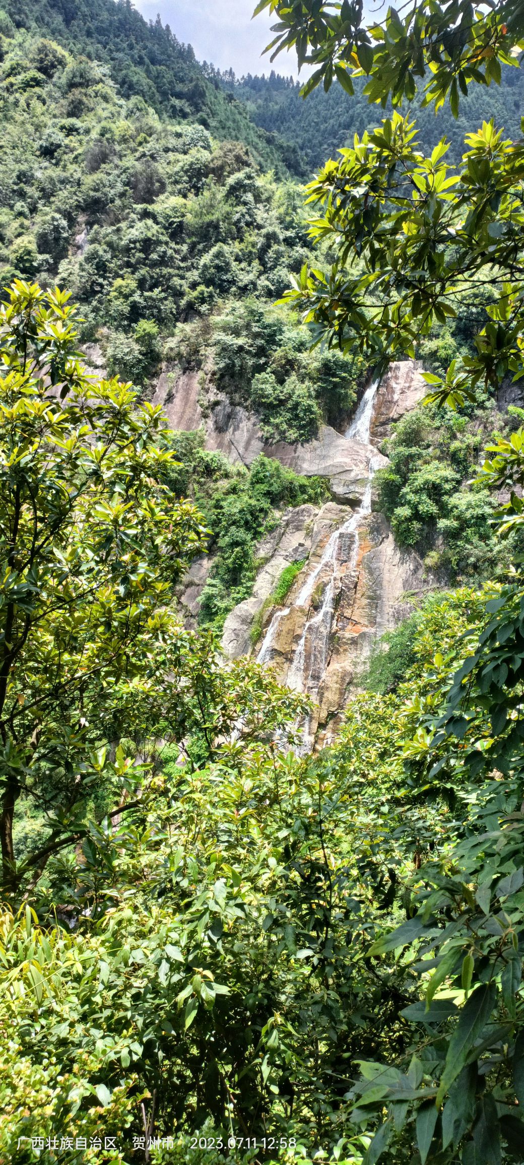 富川西岭森林公园旅行图片 2