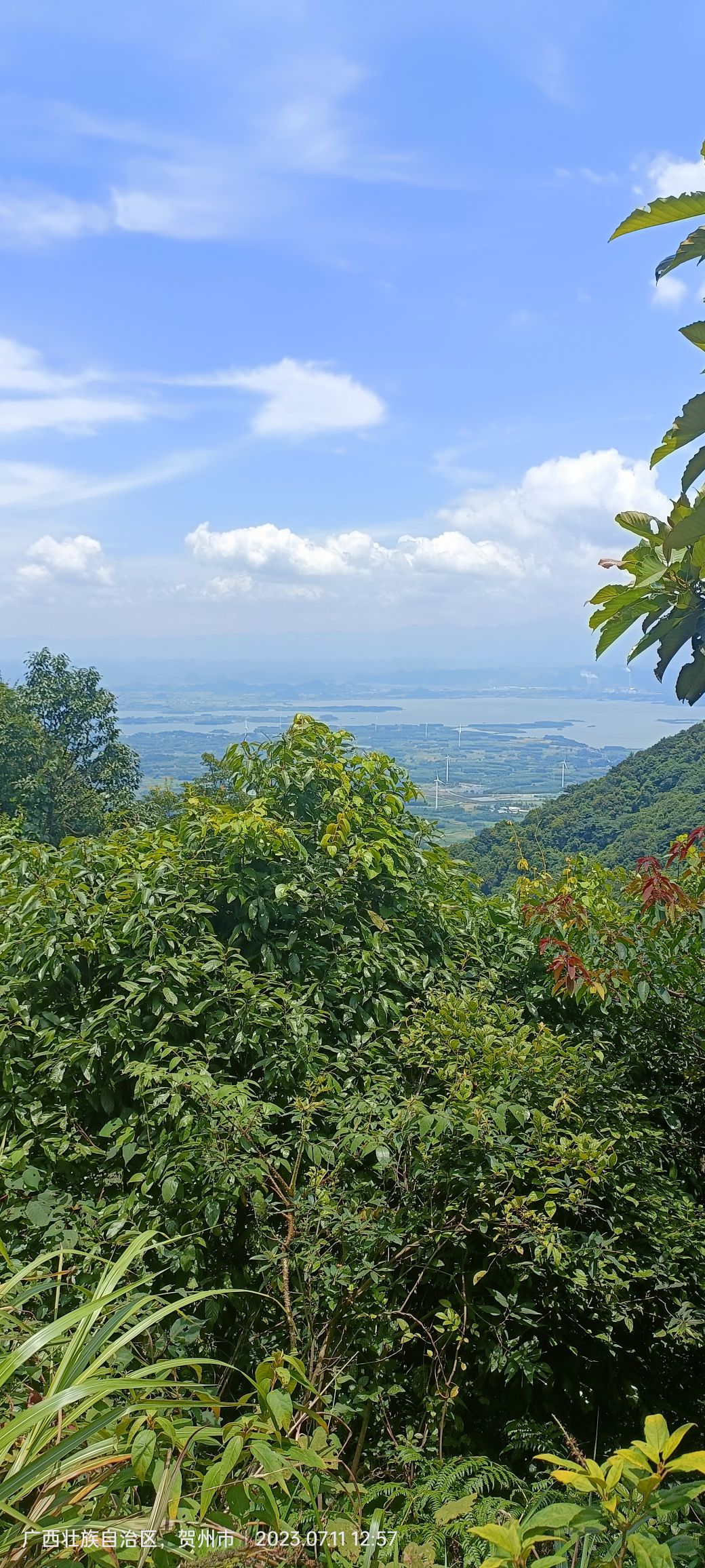 富川西岭森林公园旅行图片 1