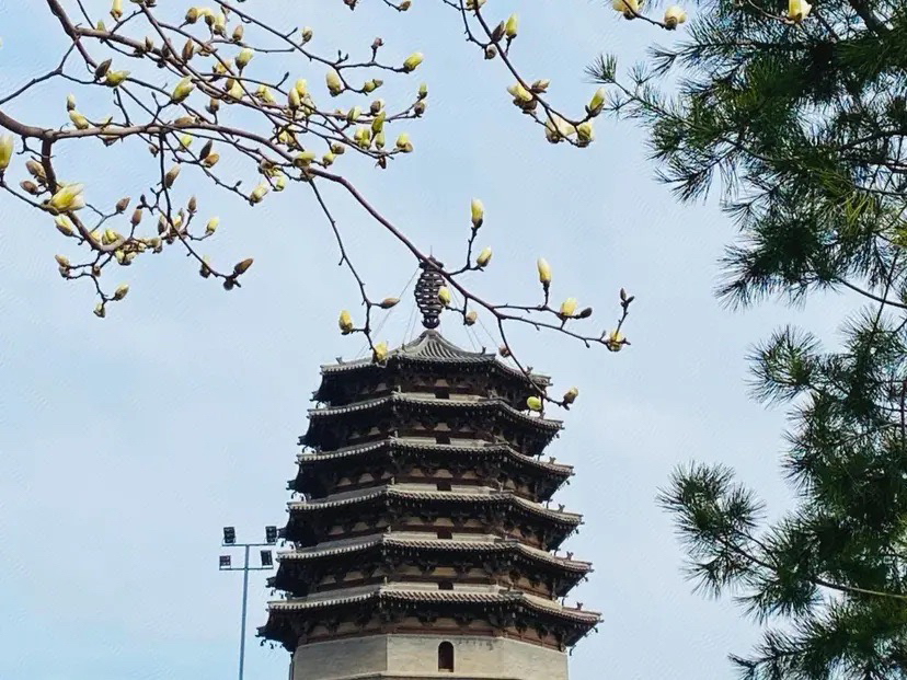 正定古城旅行图片 1