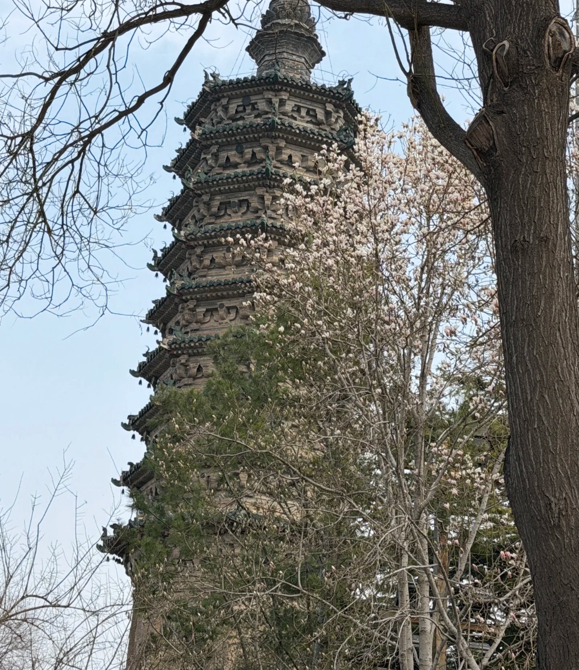 正定古城旅行图片 3
