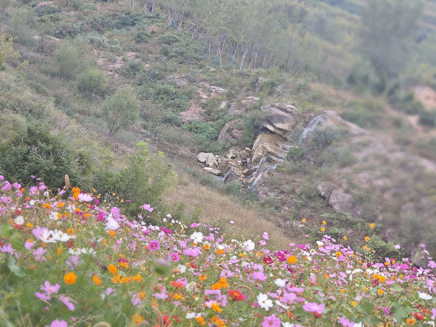老狼沟景区旅行图片 1
