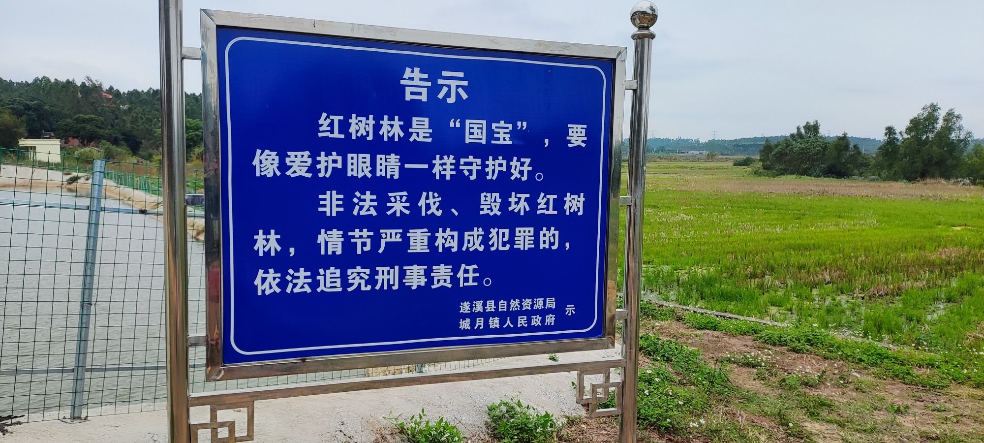 流牛滩古道遗址旅行图片 1