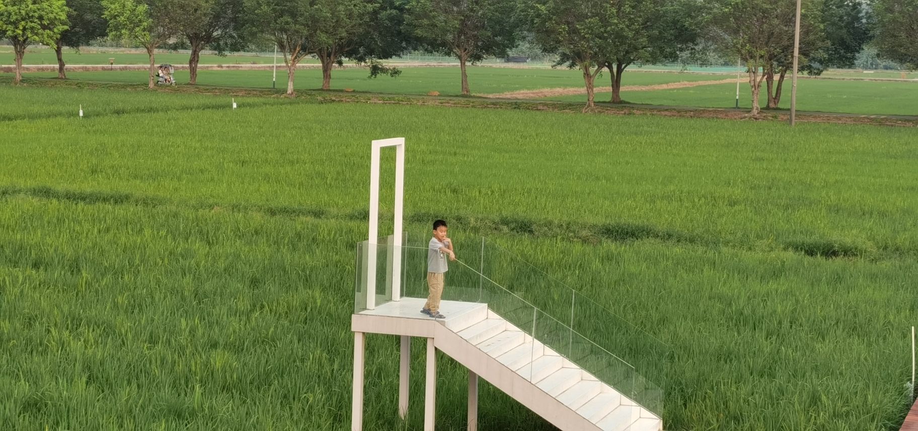 朱村街丝苗米文化公园旅行图片 2