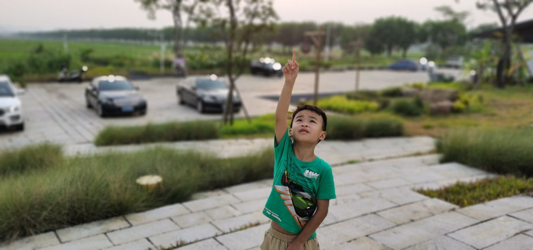 朱村街丝苗米文化公园旅行图片 1