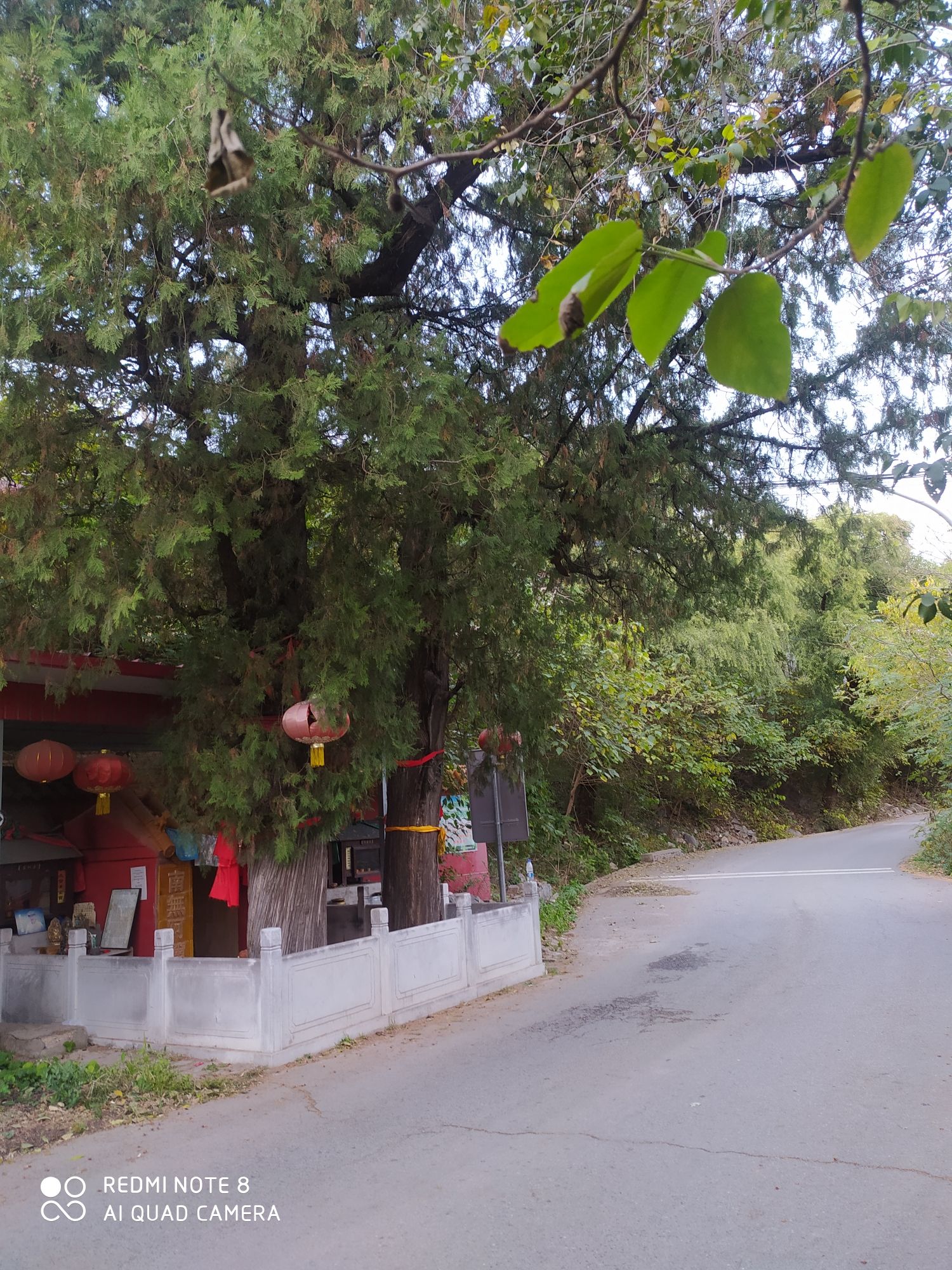 万善桥旅行图片 2