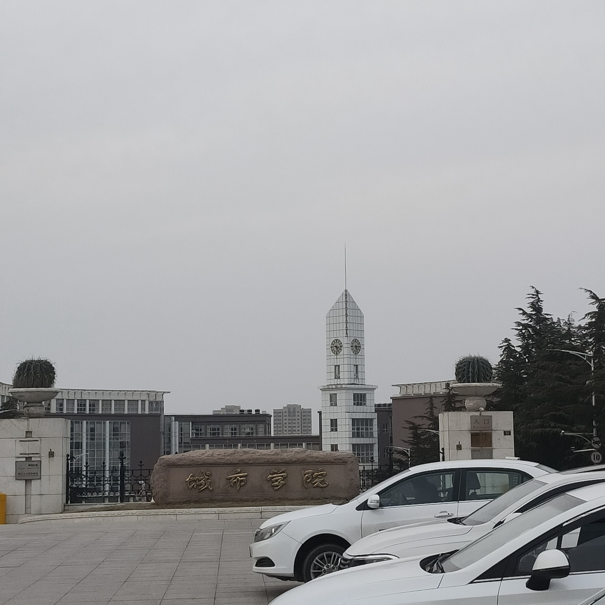 青岛城市学院