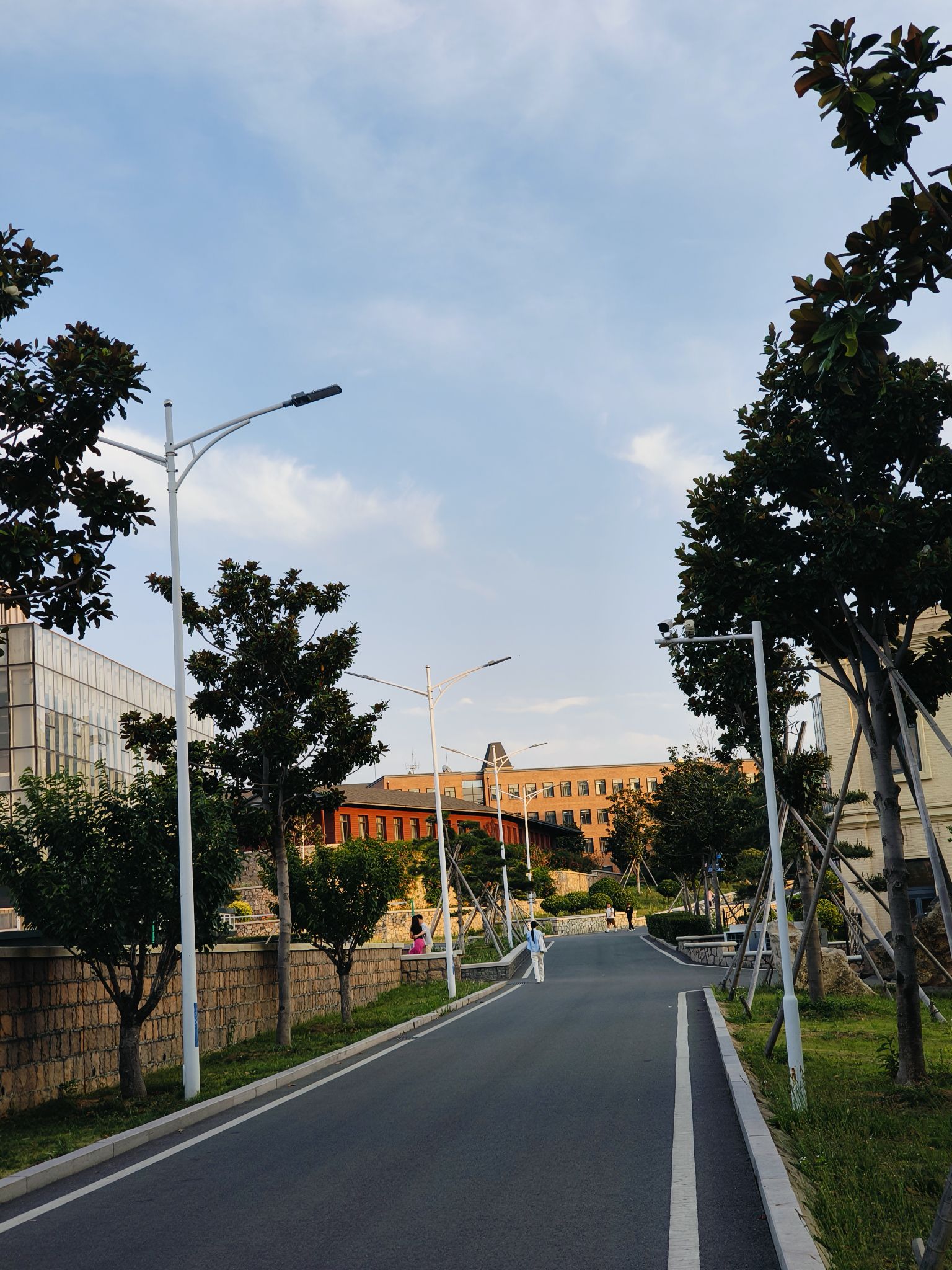 青岛城市学院