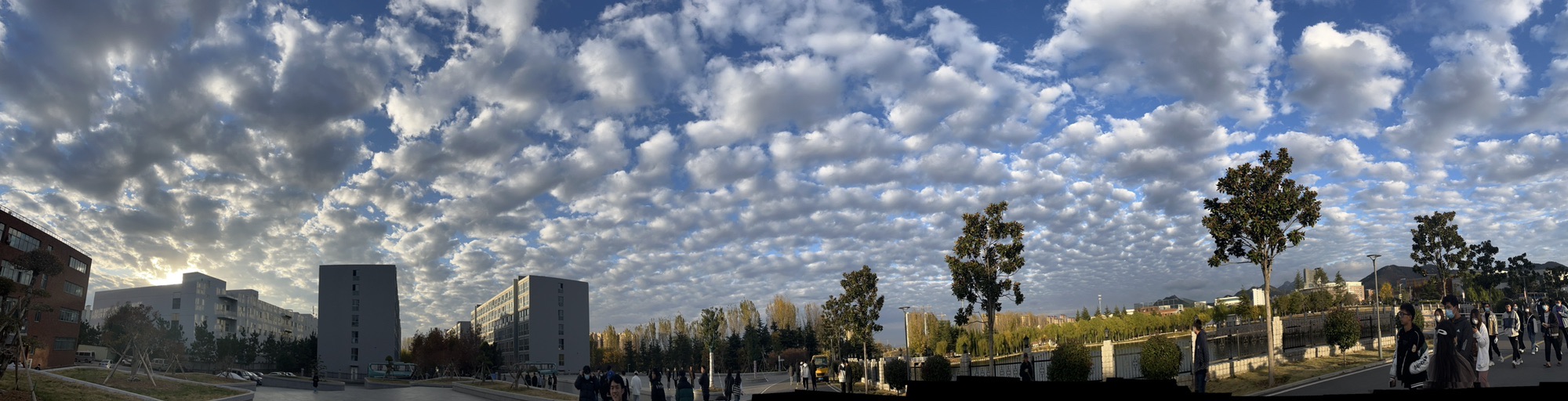 青岛城市学院