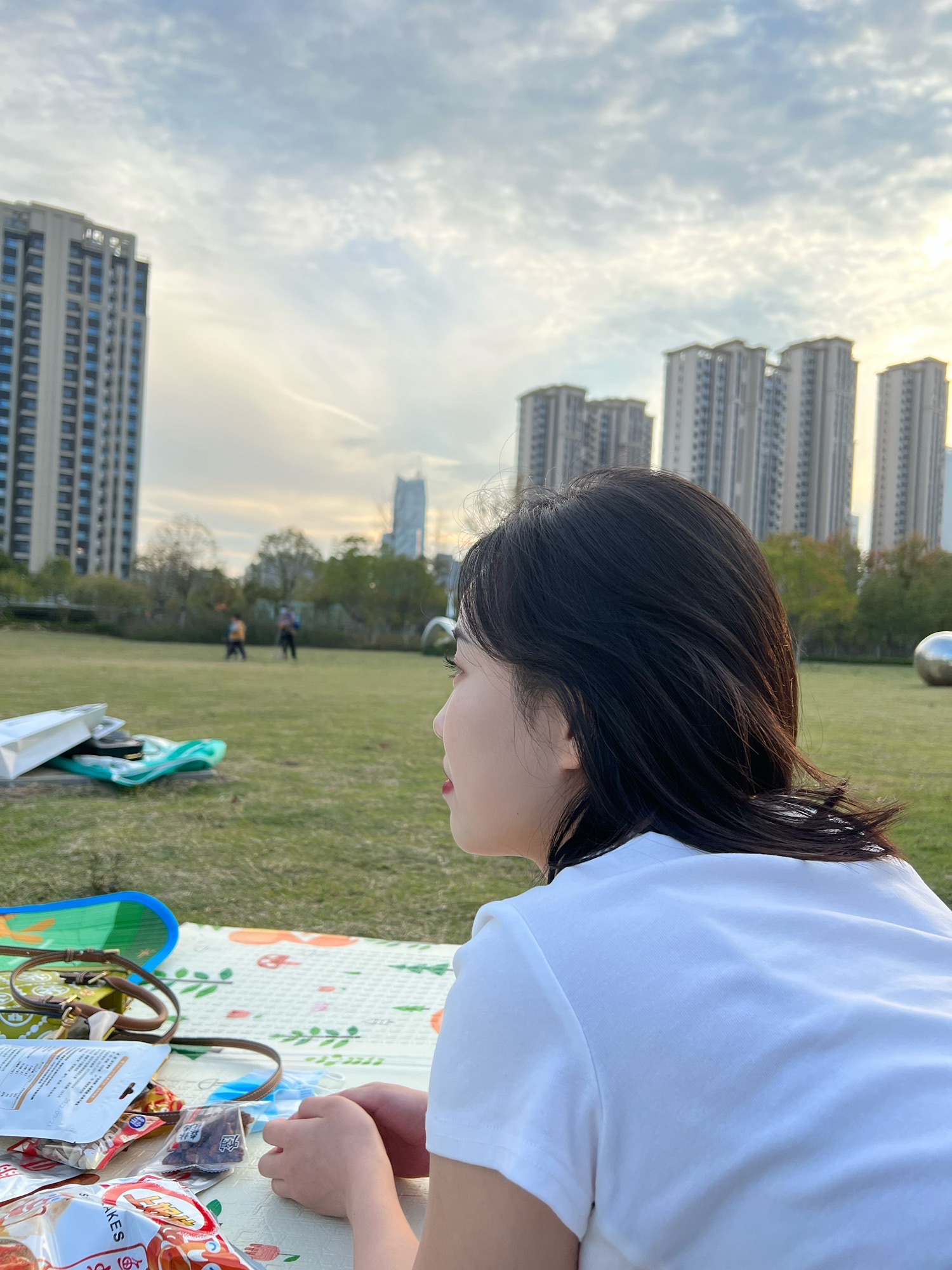 石台路公园旅行图片 2