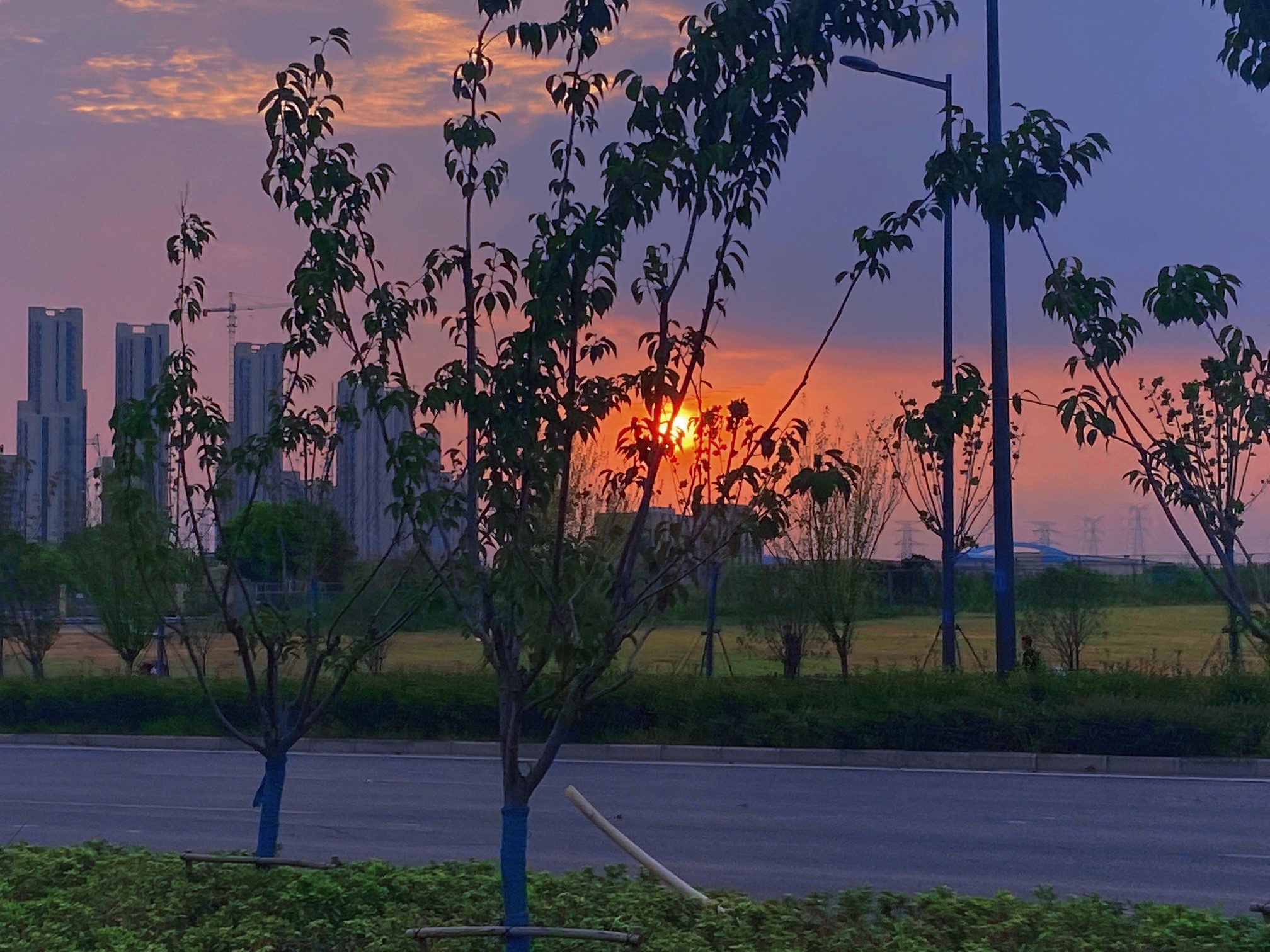 石台路公园旅行图片 2