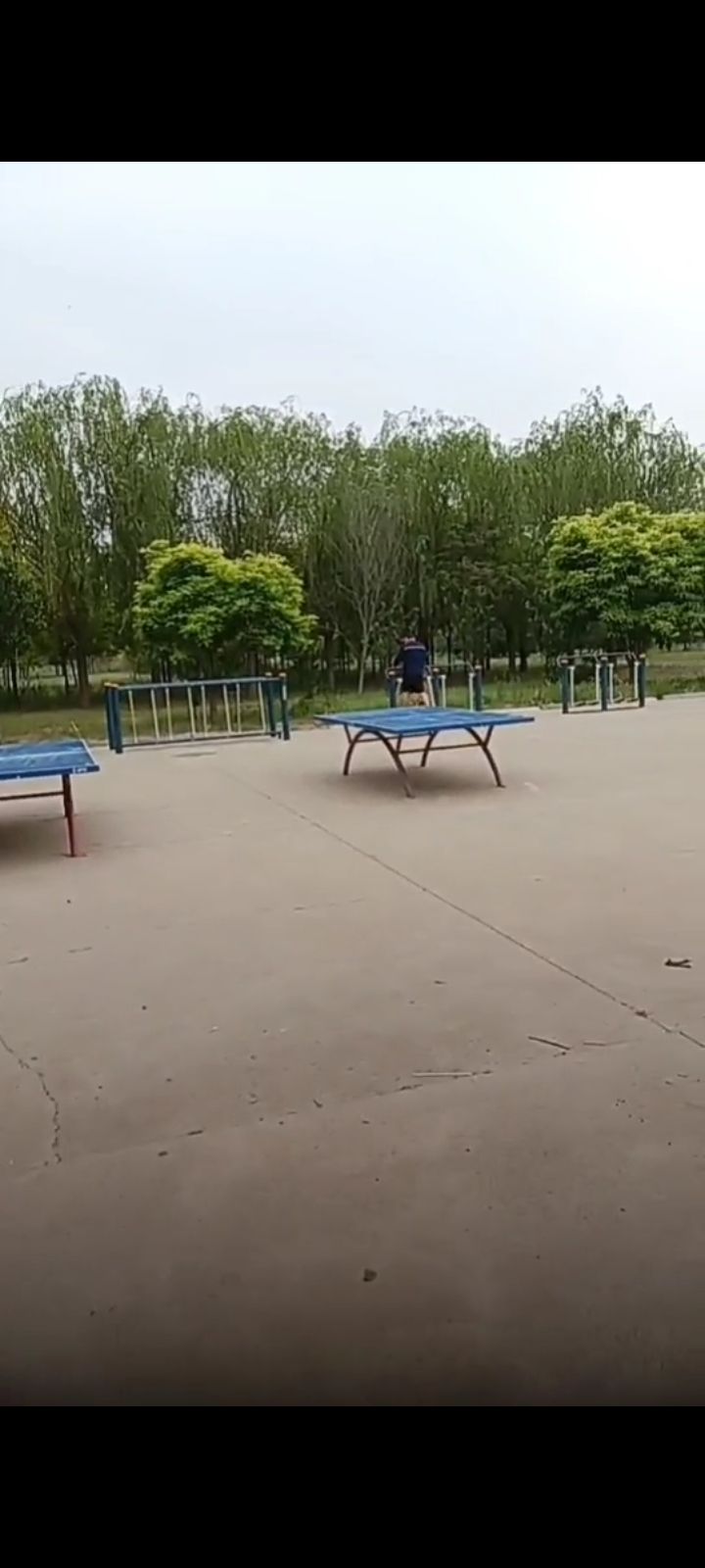 双口二村公园旅行图片 2