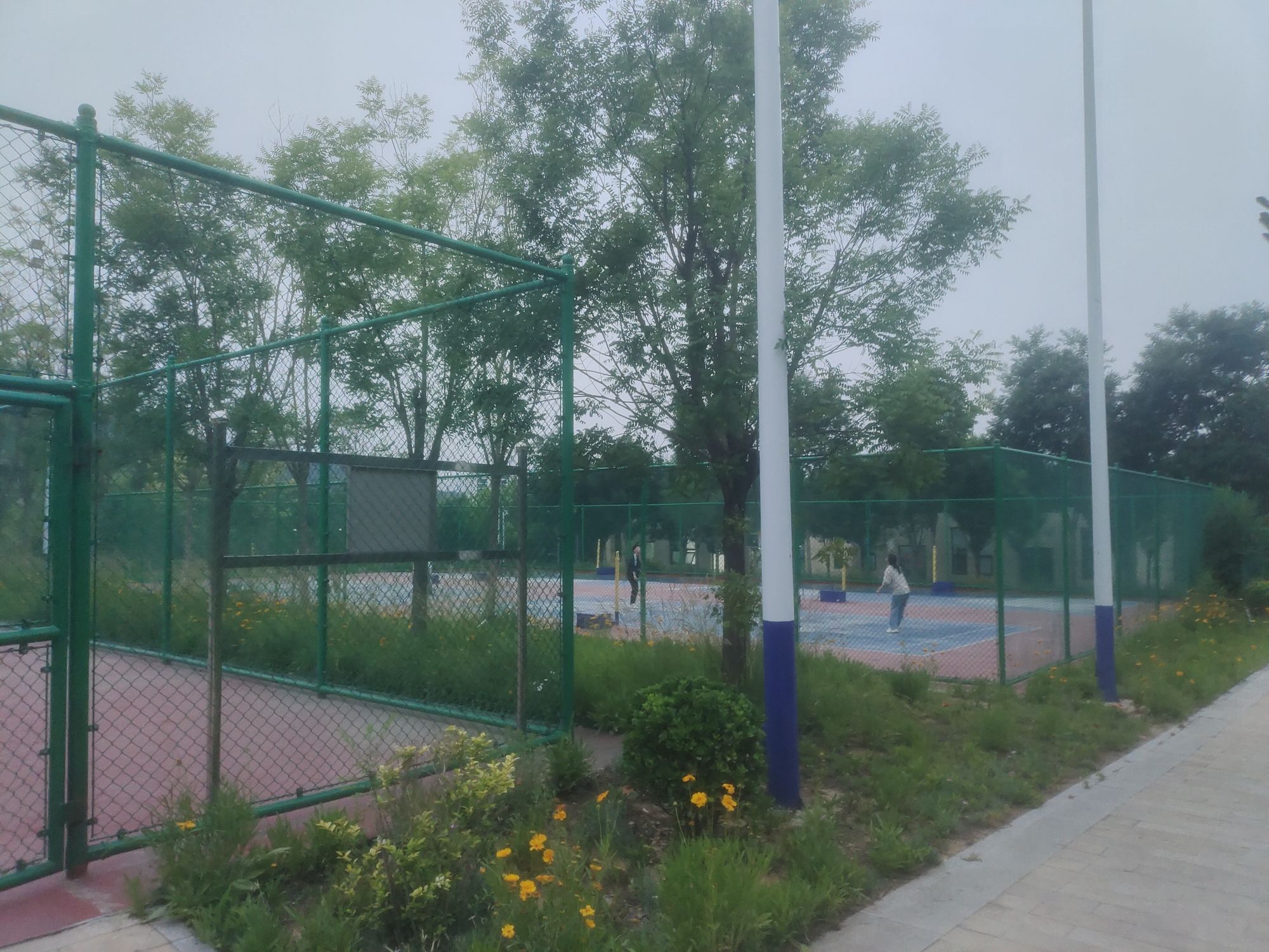 龙王山公园旅行图片 3