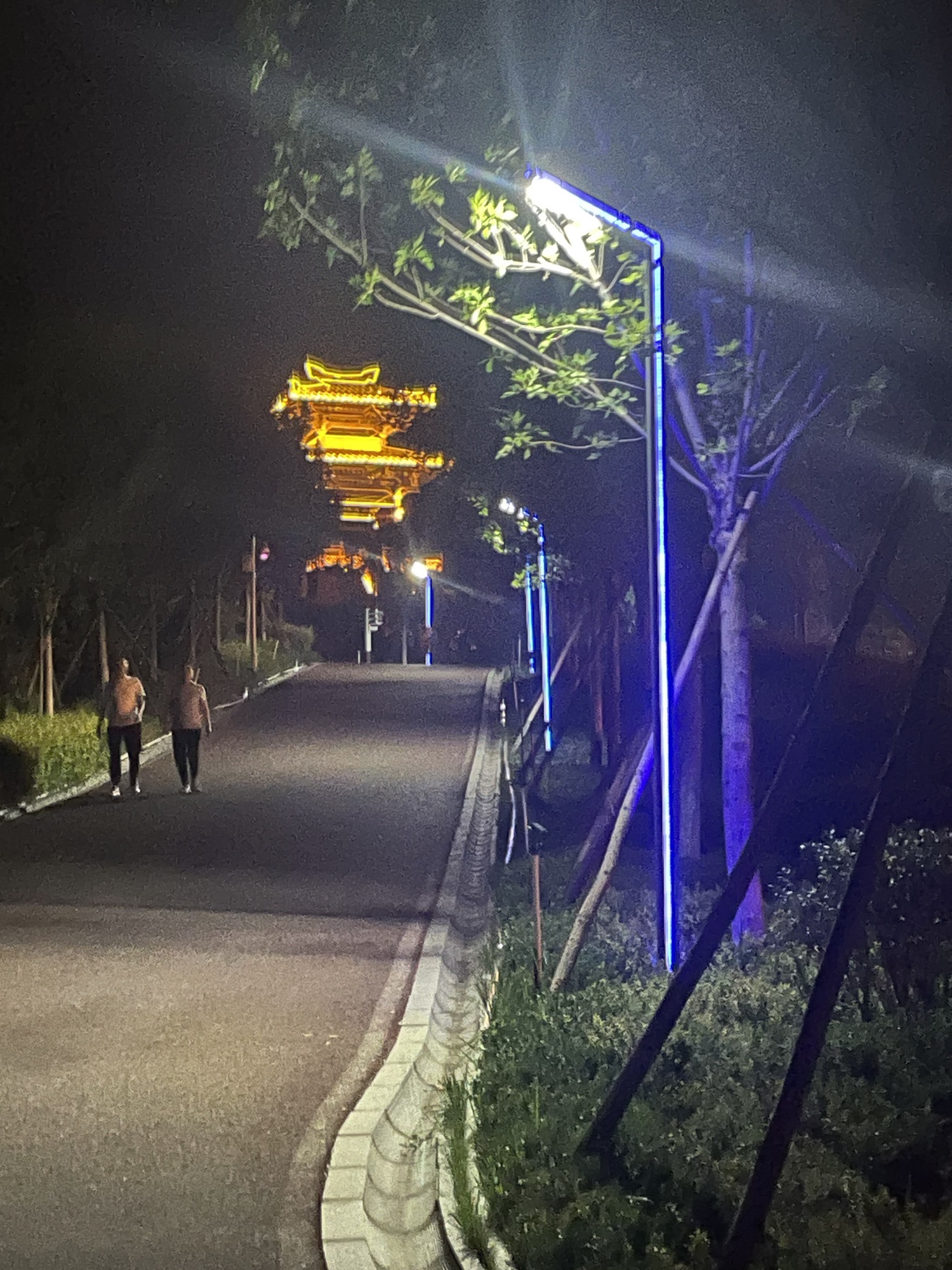 龙王山公园旅行图片 2