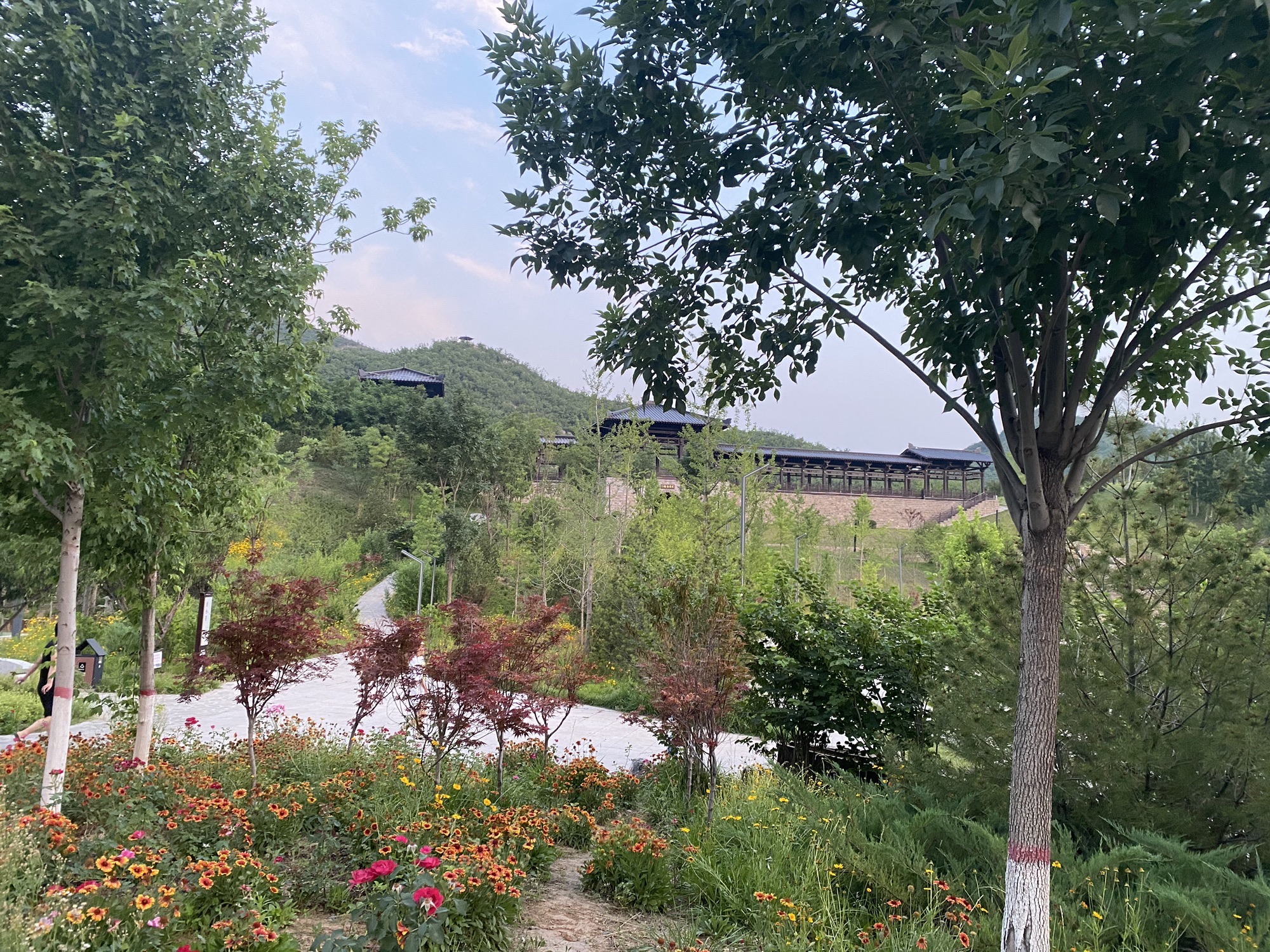 龙王山公园