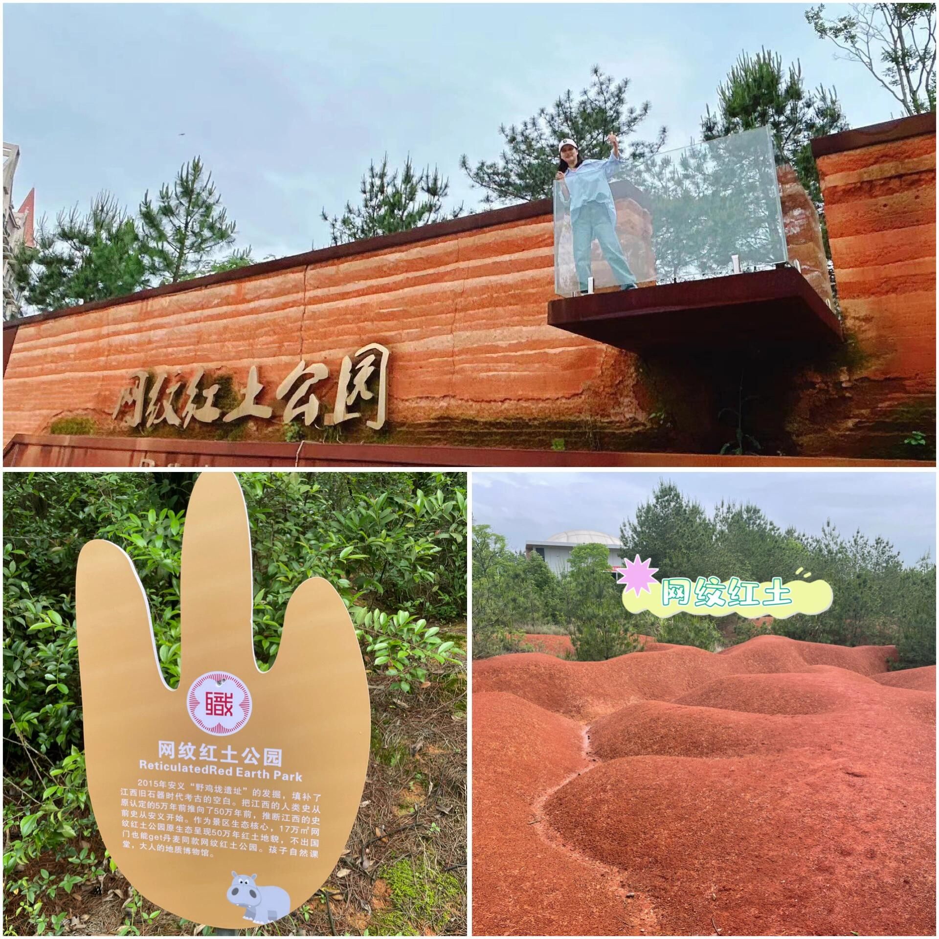 网纹红土公园旅行图片