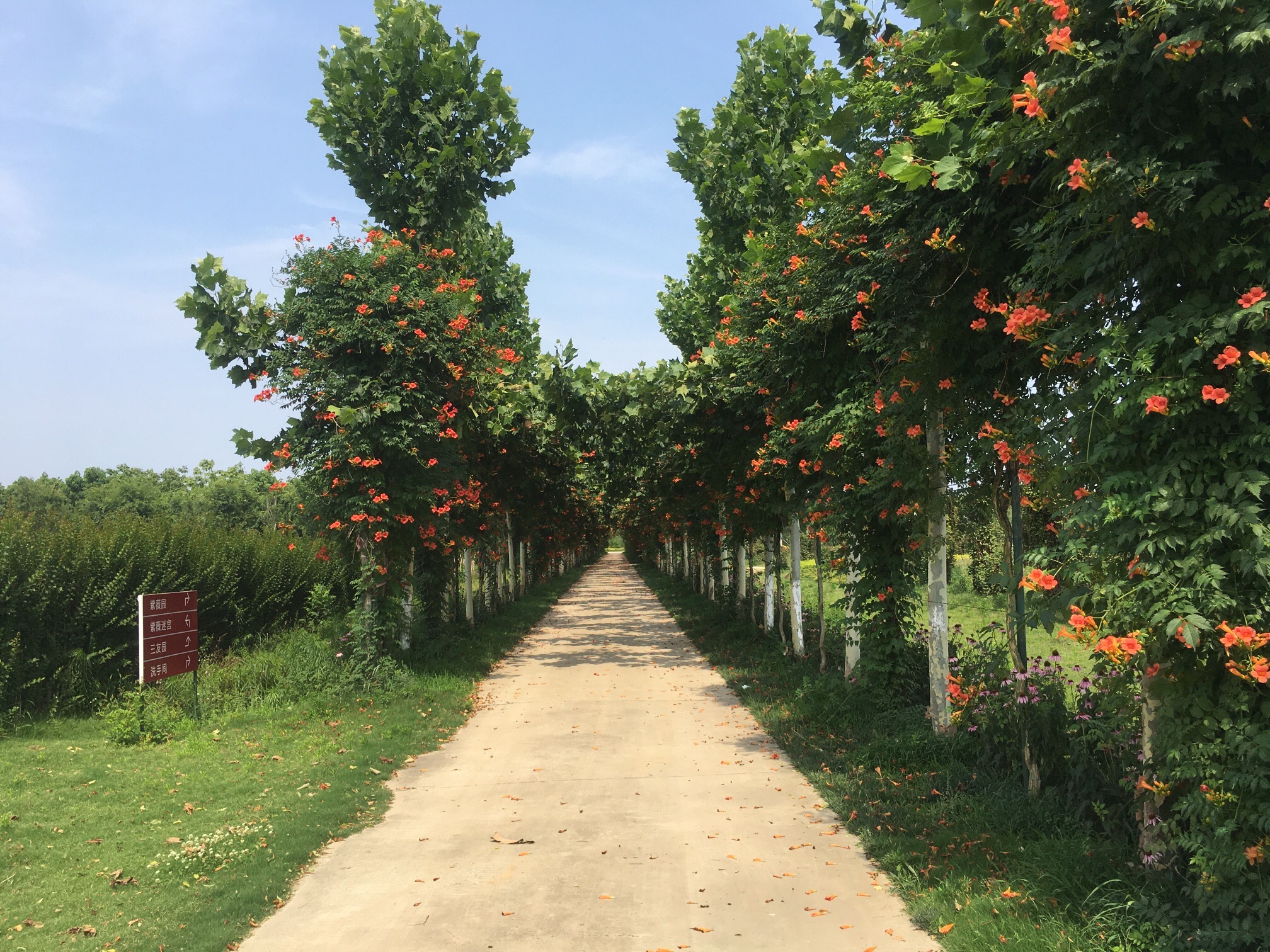 悦侬生态园景区