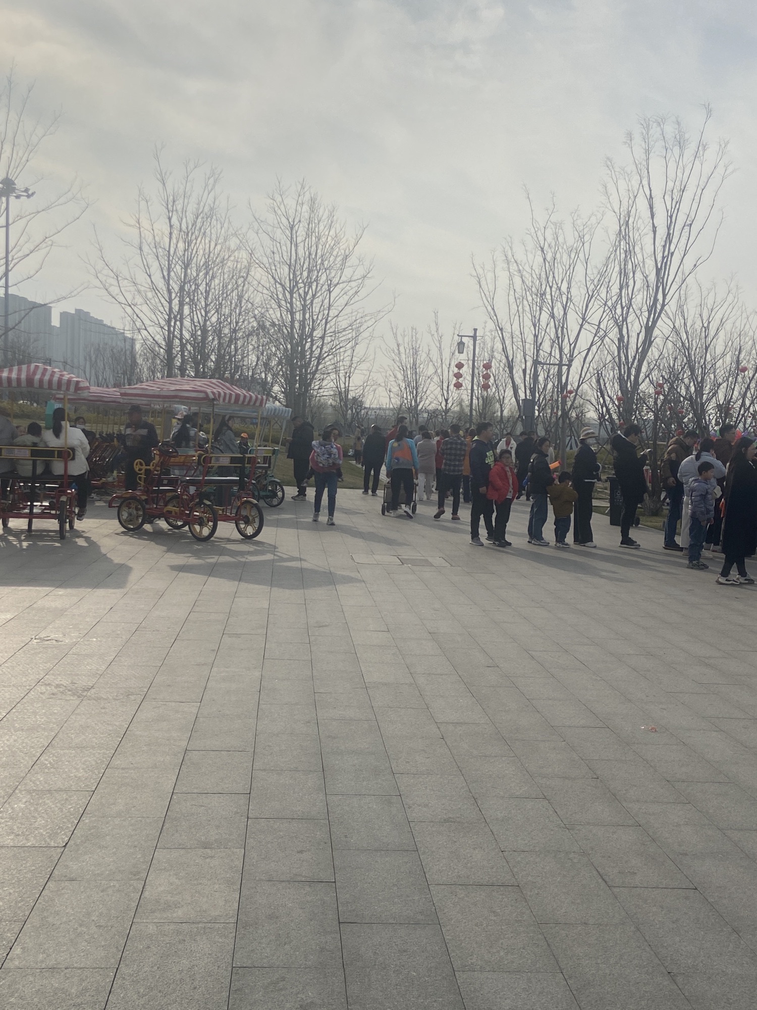 杏湖公园旅行图片 3