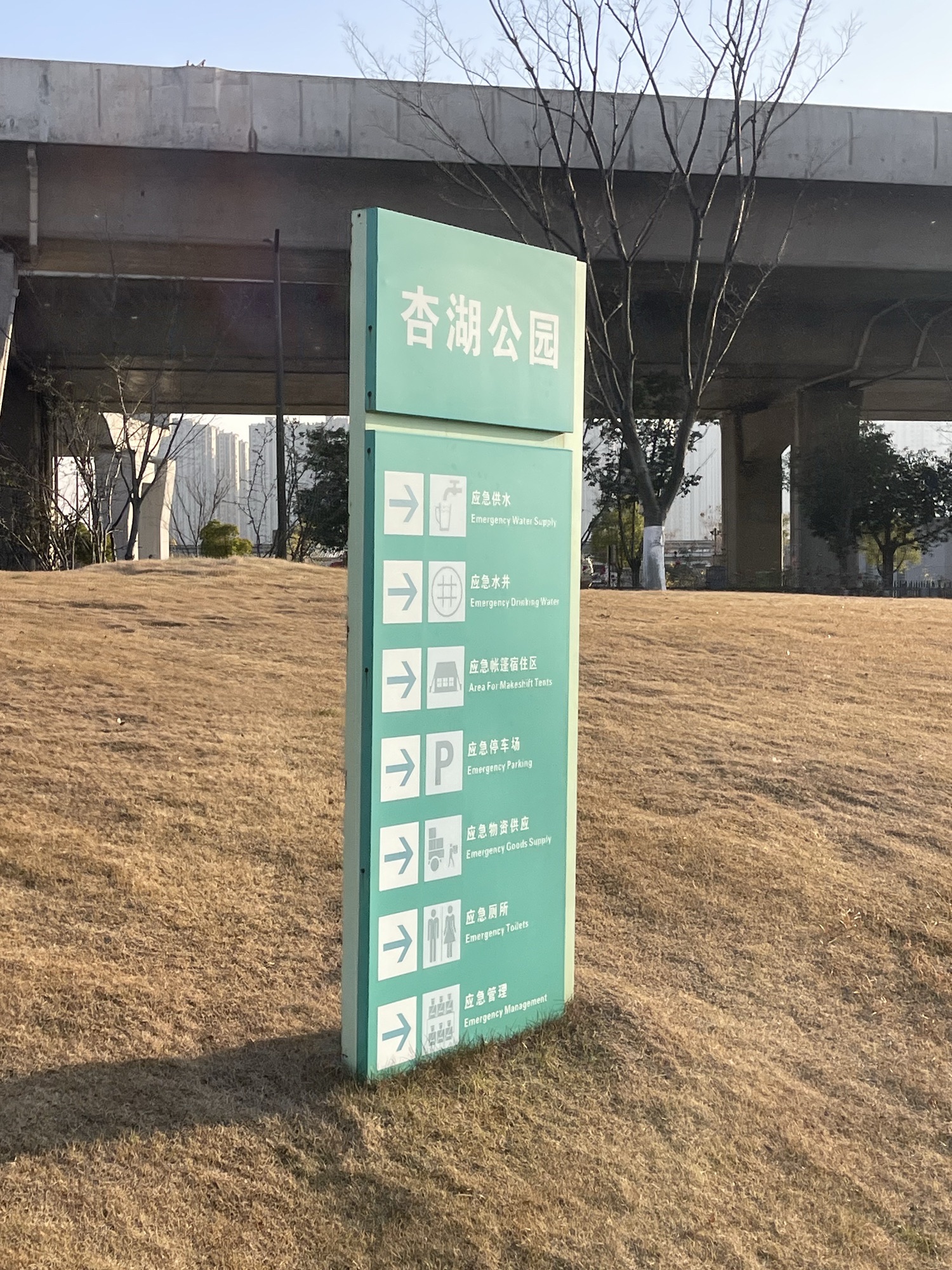 杏湖公园