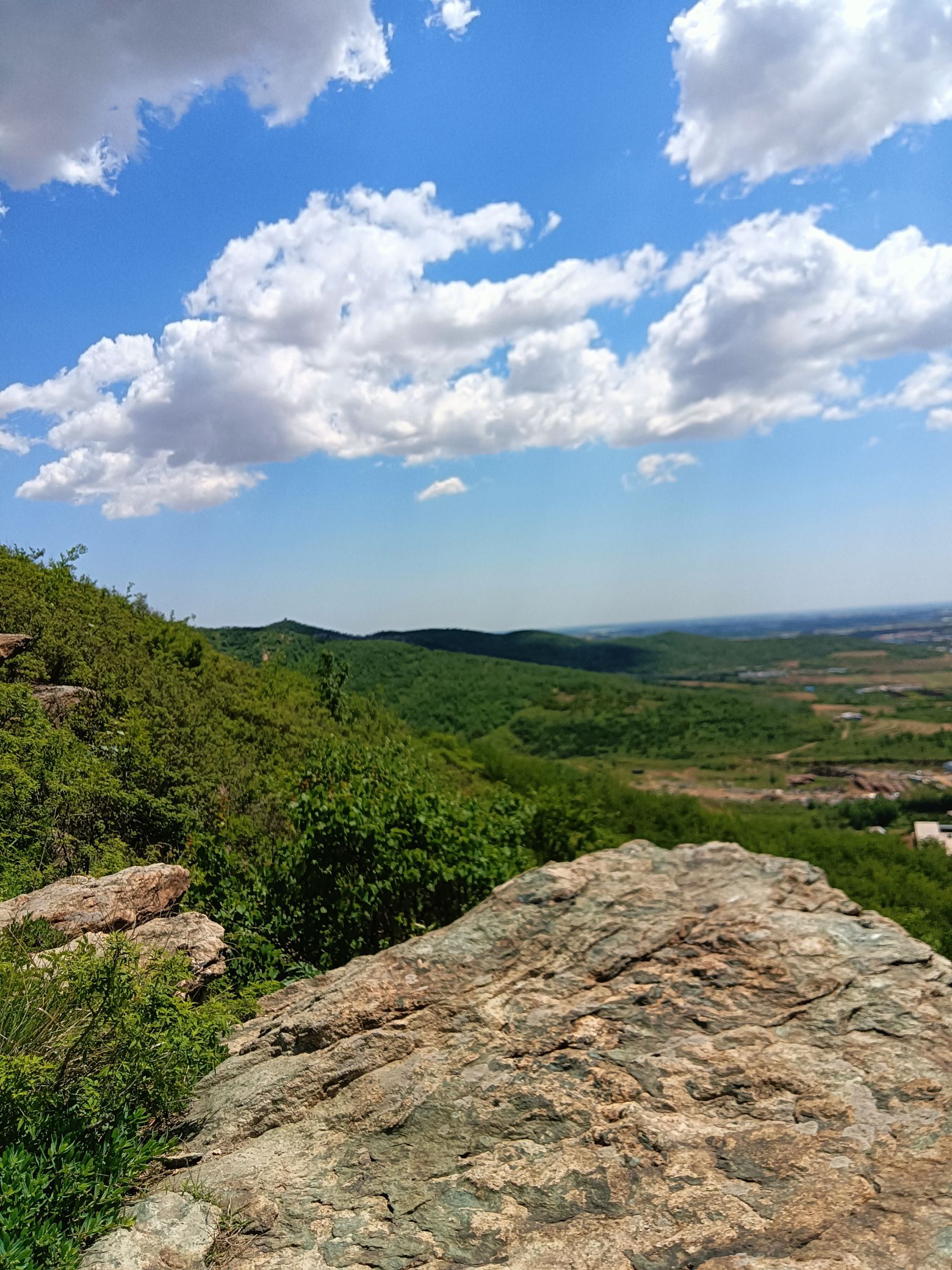 紫荆山公园旅行图片 3