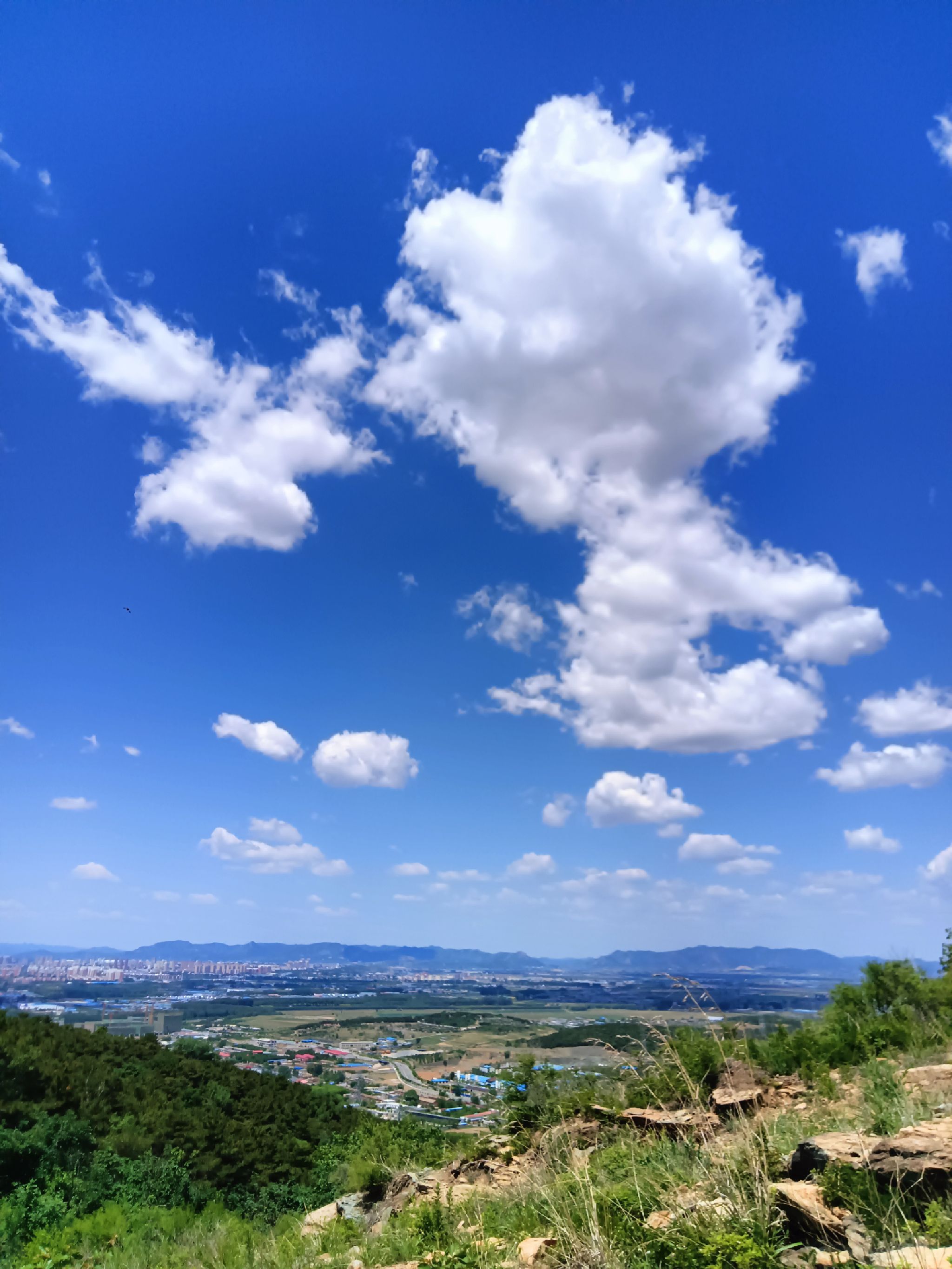 紫荆山公园旅行图片 1