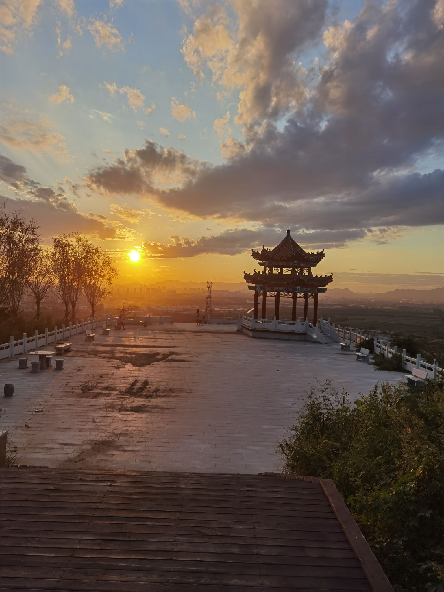 紫荆山公园旅行图片 3