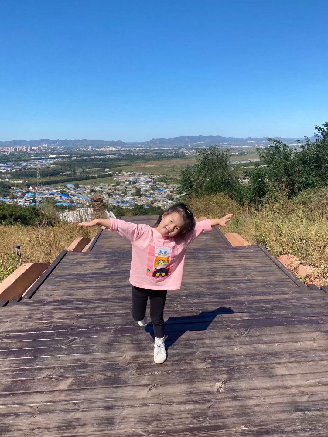 紫荆山公园旅行图片 3