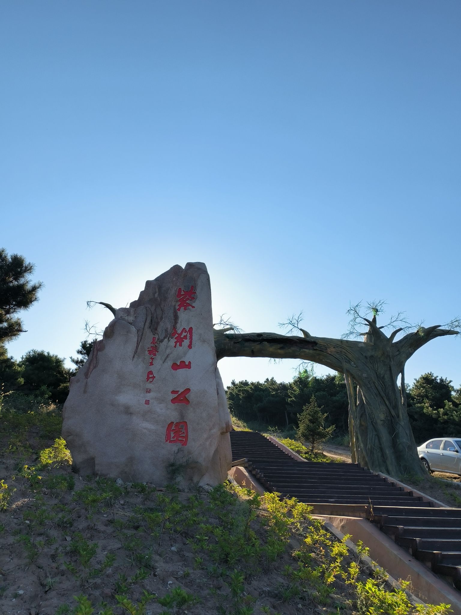 紫荆山公园