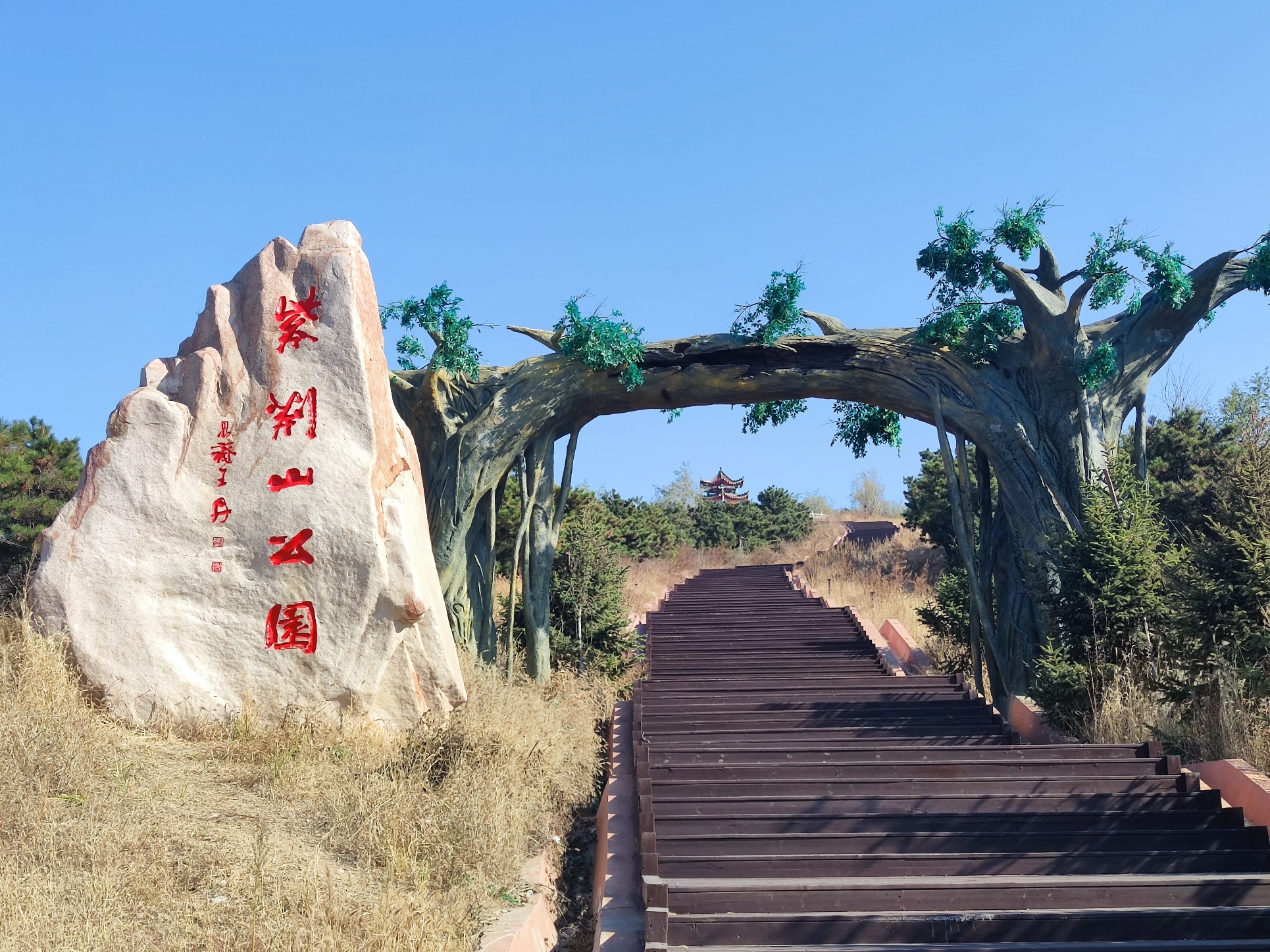紫荆山公园旅行图片 3