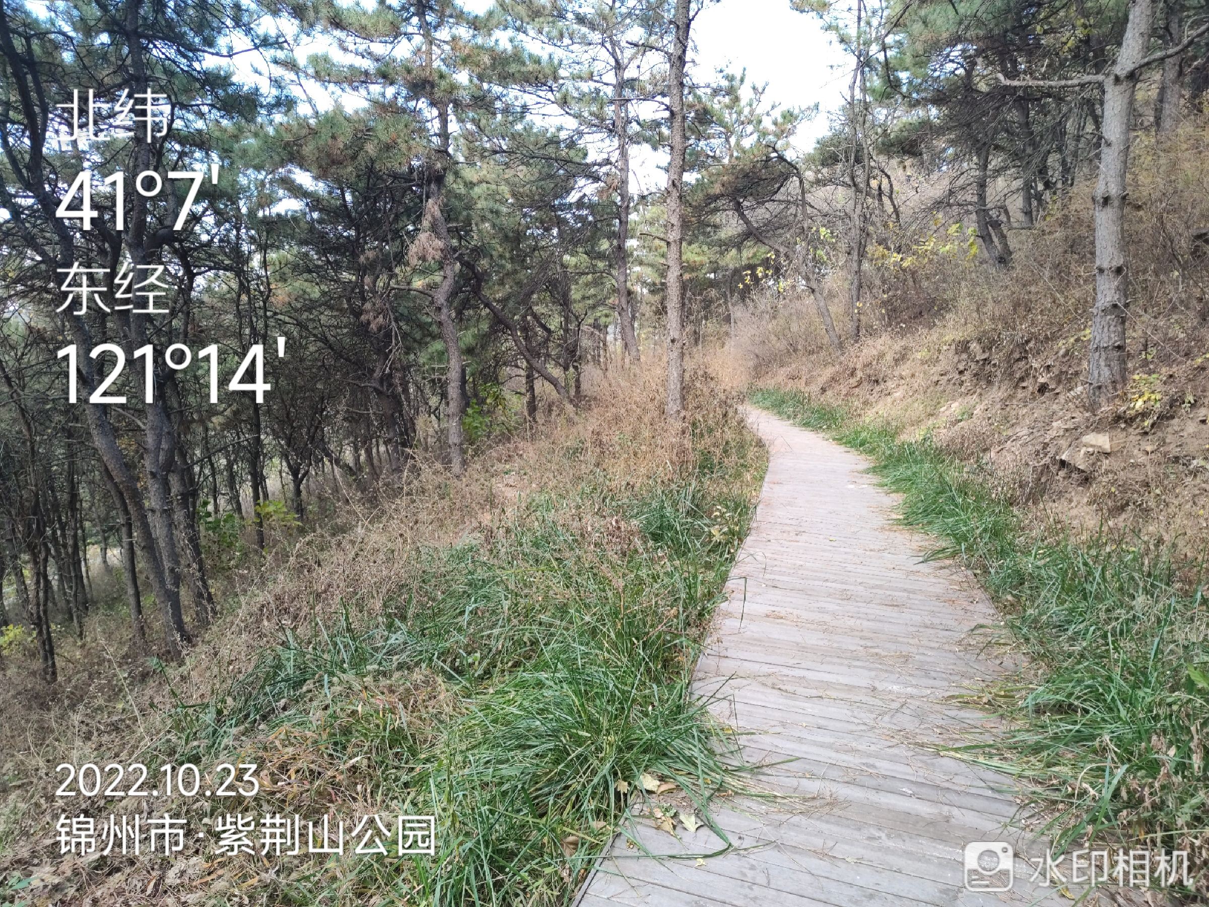 紫荆山公园旅行图片 1
