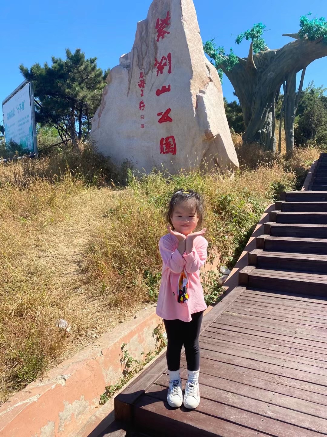 紫荆山公园旅行图片 2