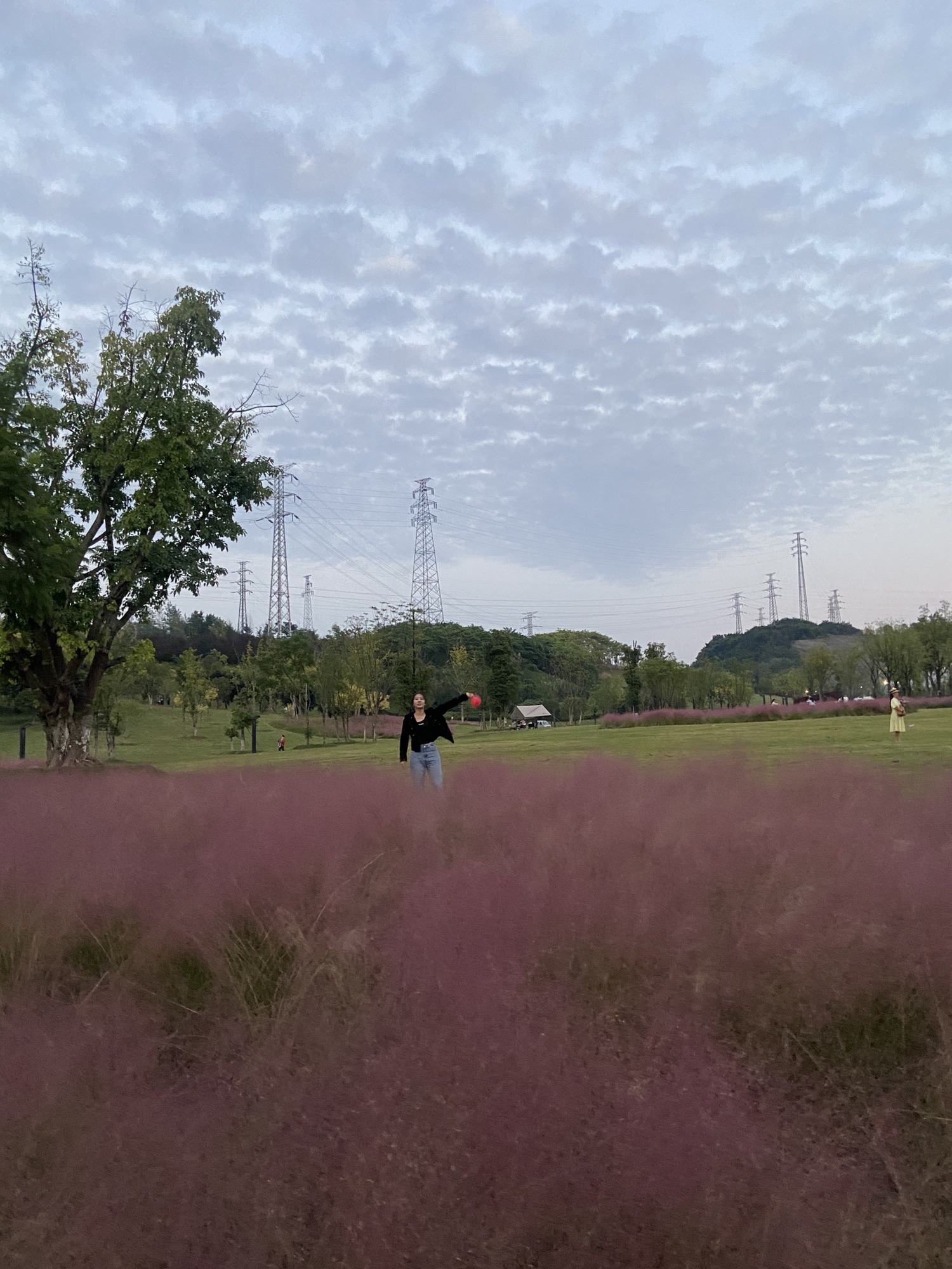 两江粉黛山公园旅行图片 1