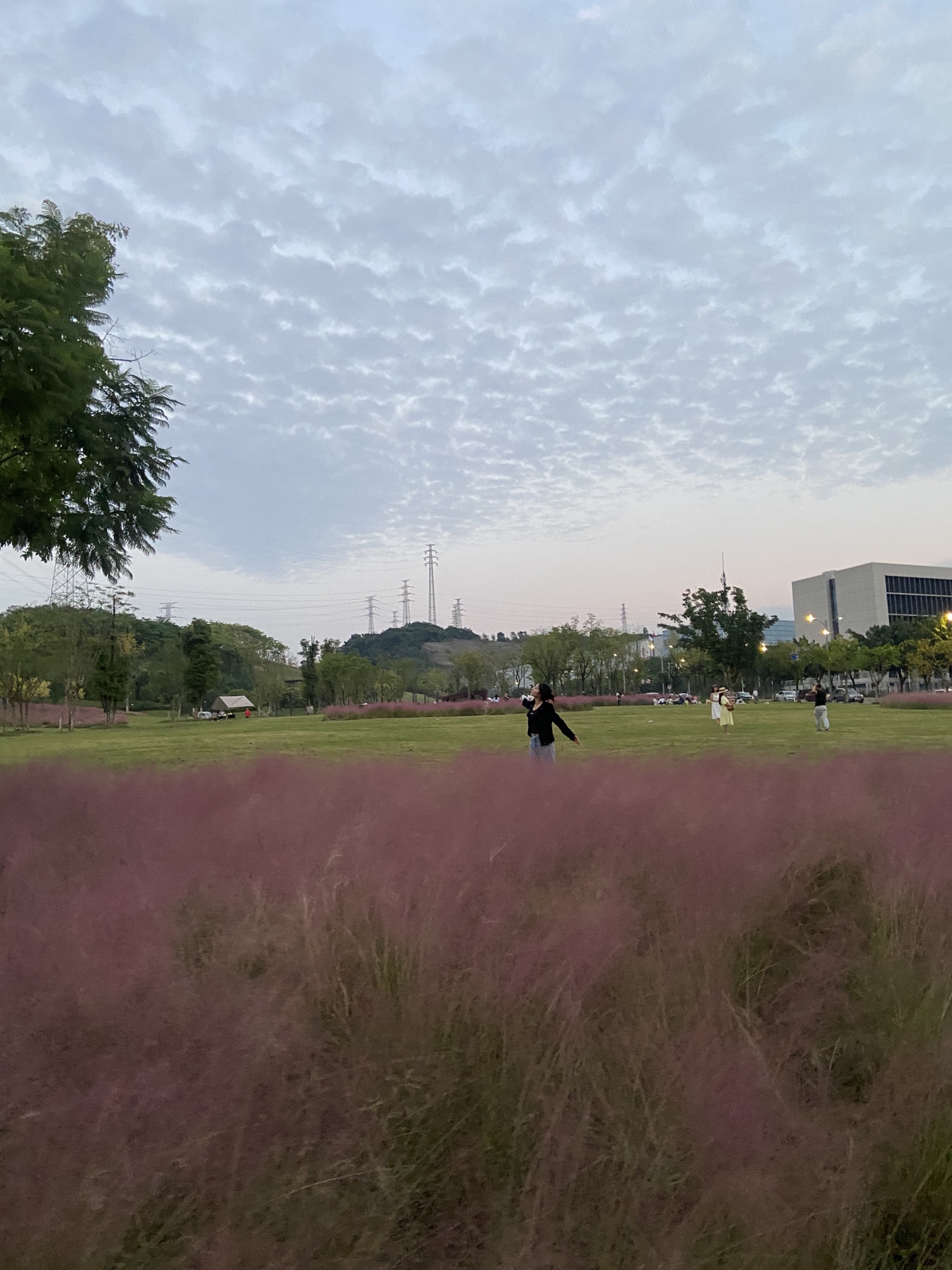 两江粉黛山公园旅行图片 3
