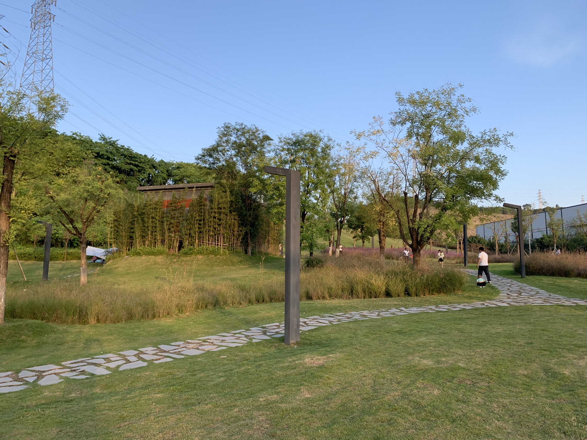 两江粉黛山公园旅行图片 3