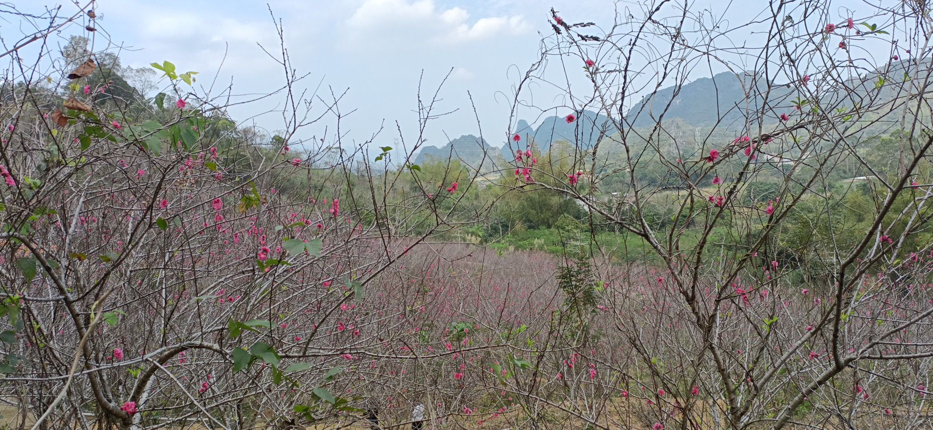 燕子岩旅行图片 1