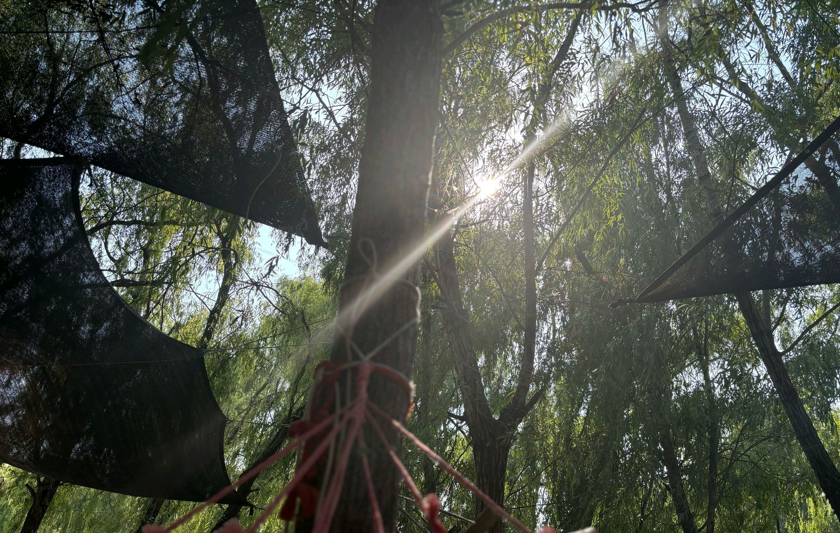 安阳小南海景区旅行图片 3