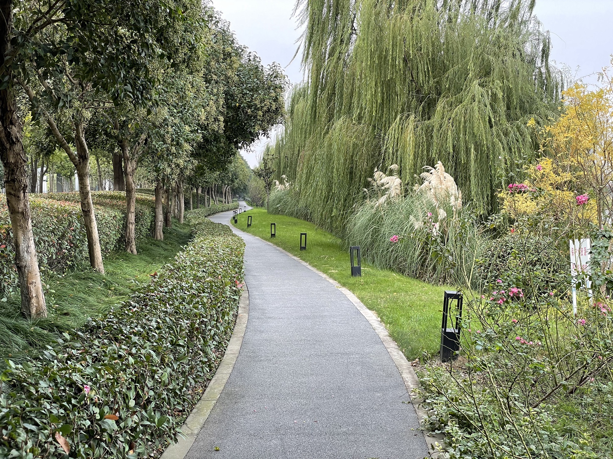 南虹港观机长廊旅行图片 3