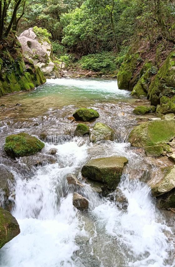 龙涎瀑布旅行图片 2